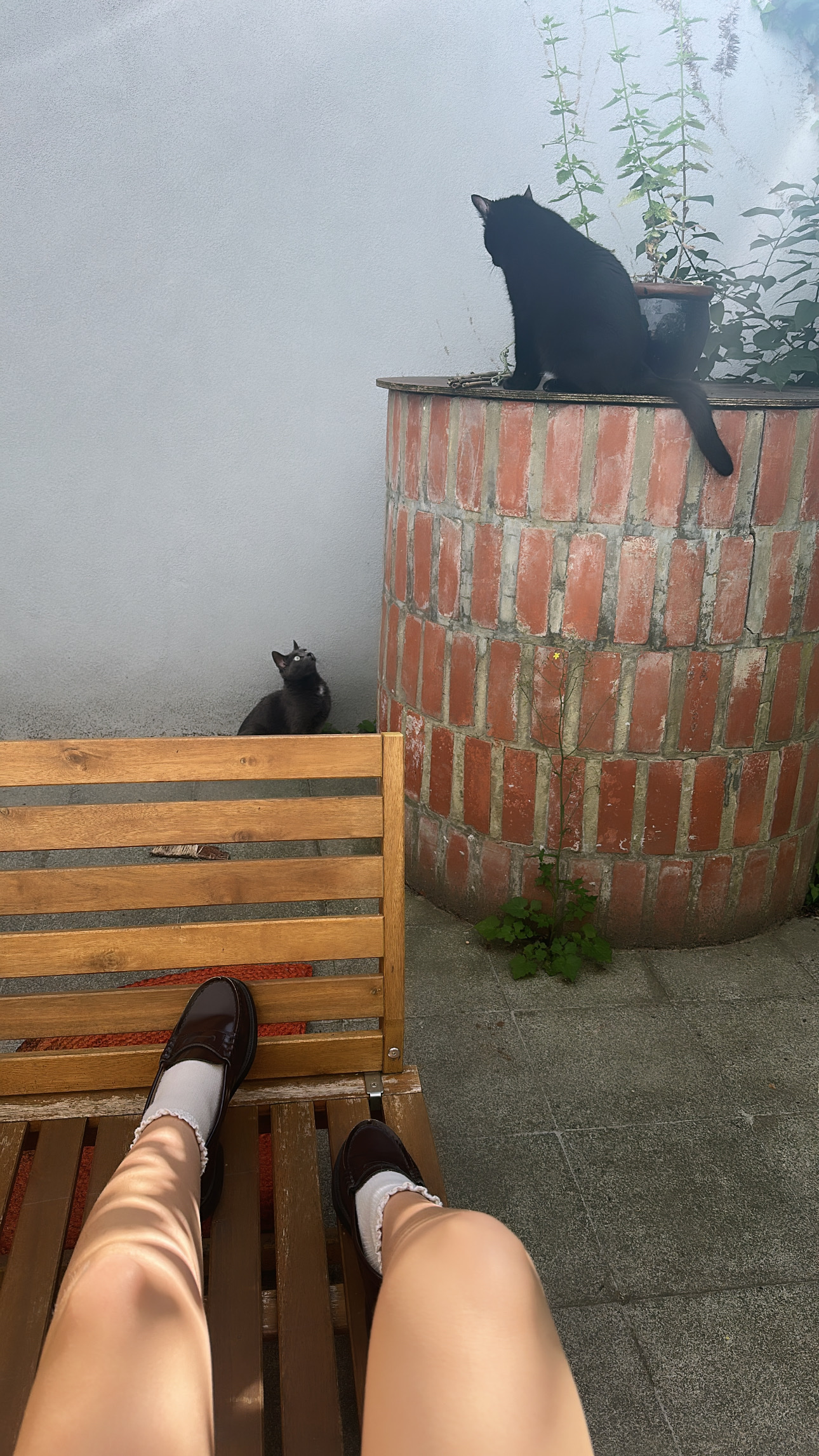 image-10