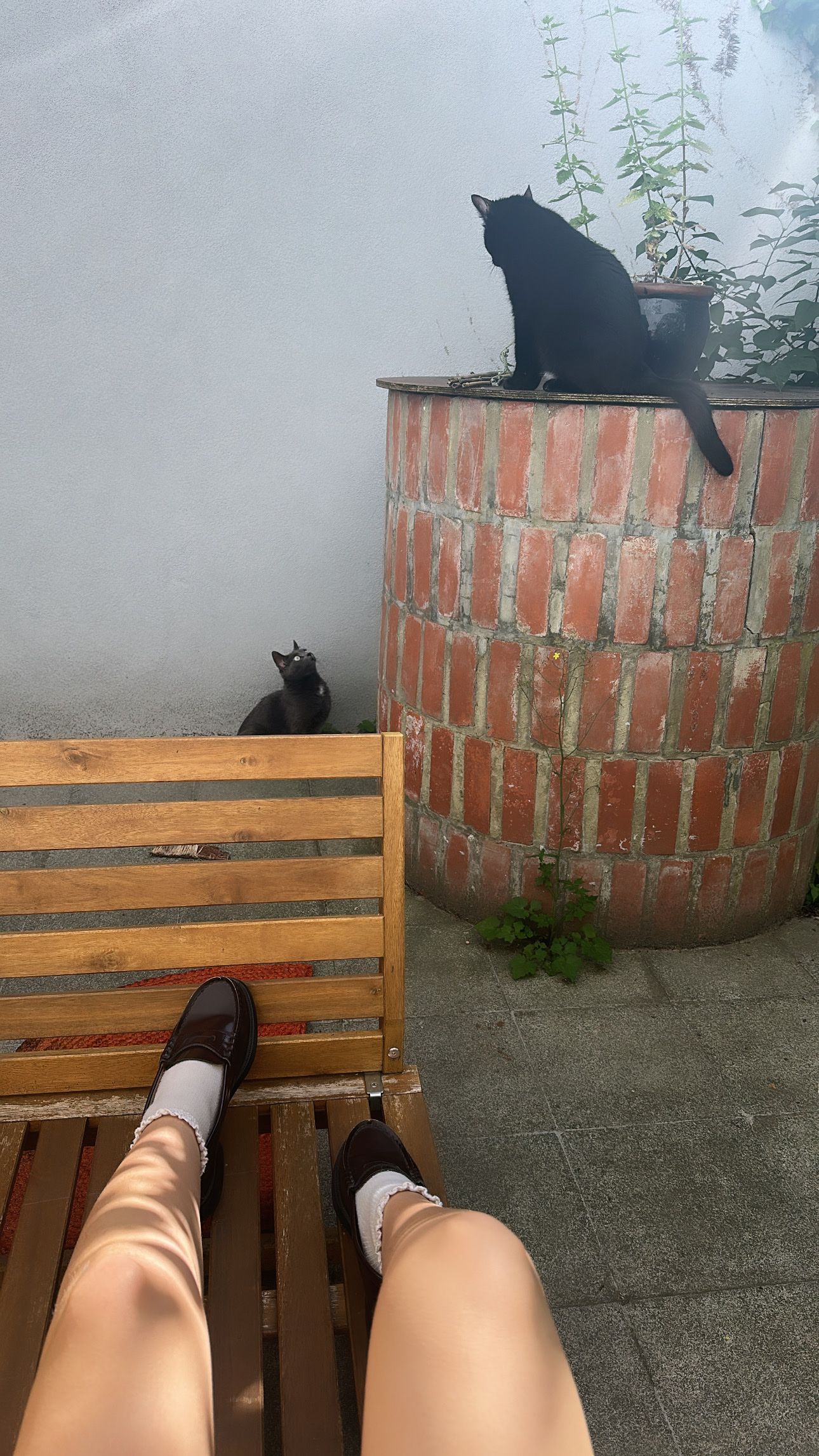 image-10