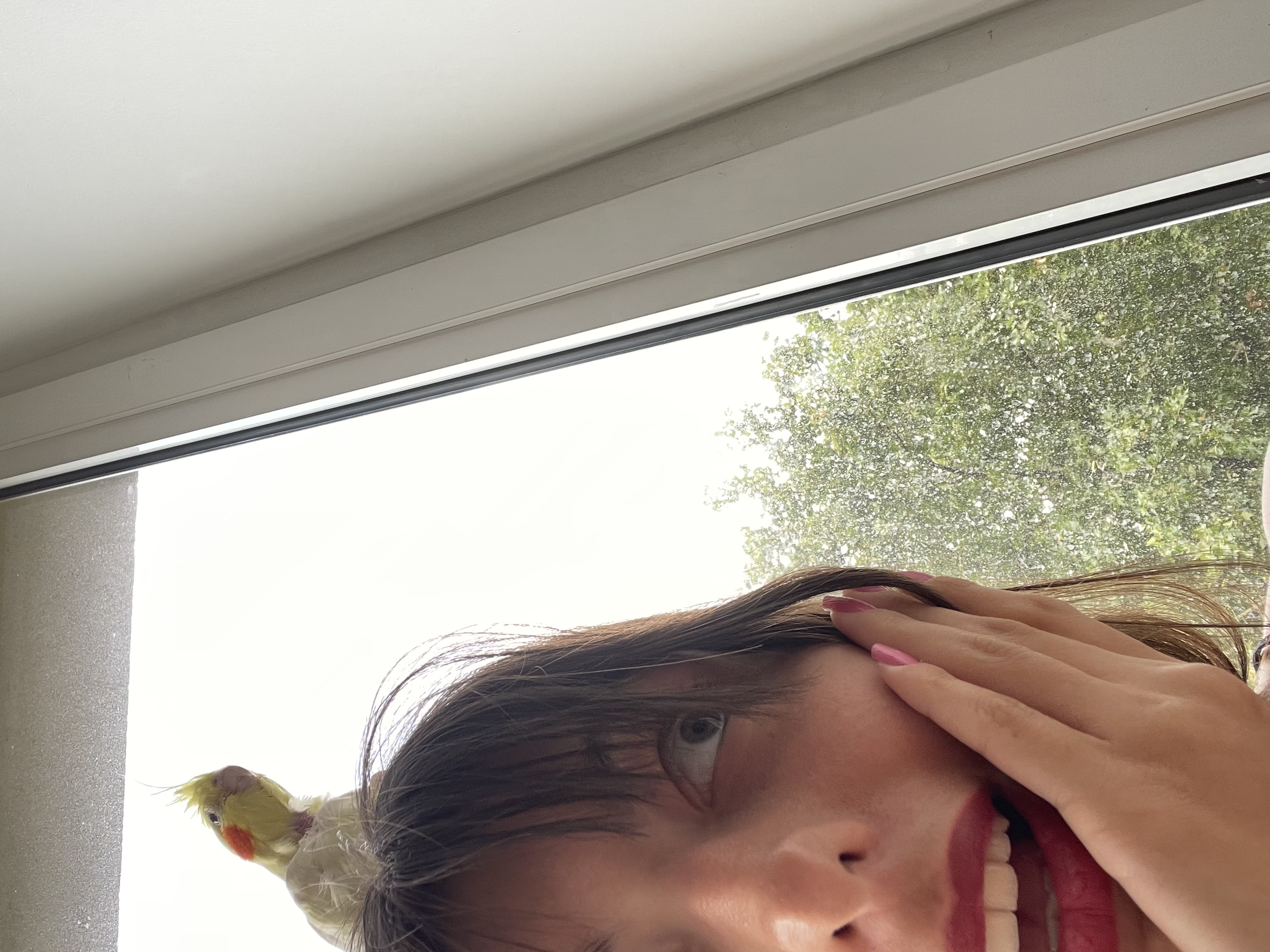 image-7
