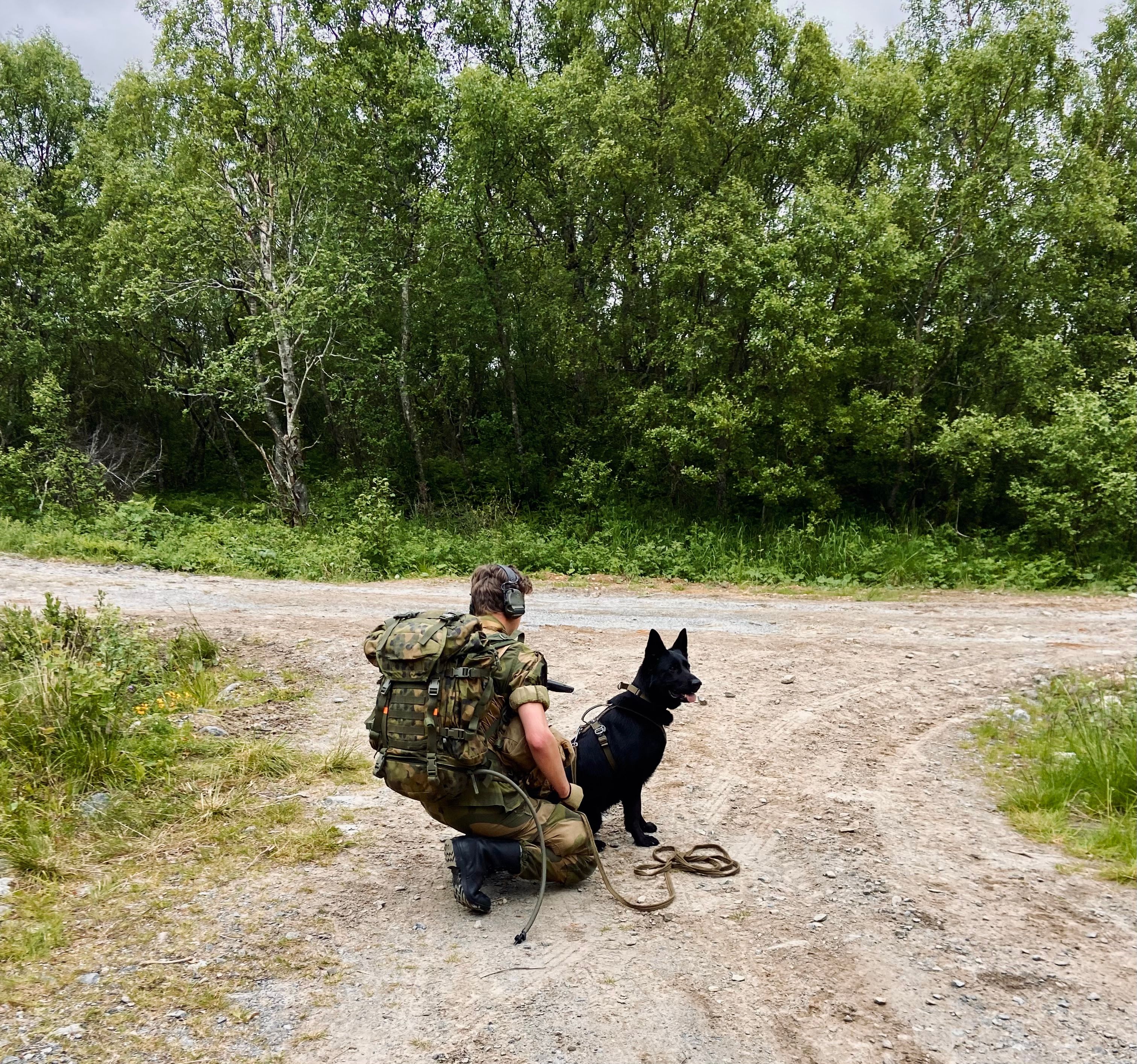 image-8