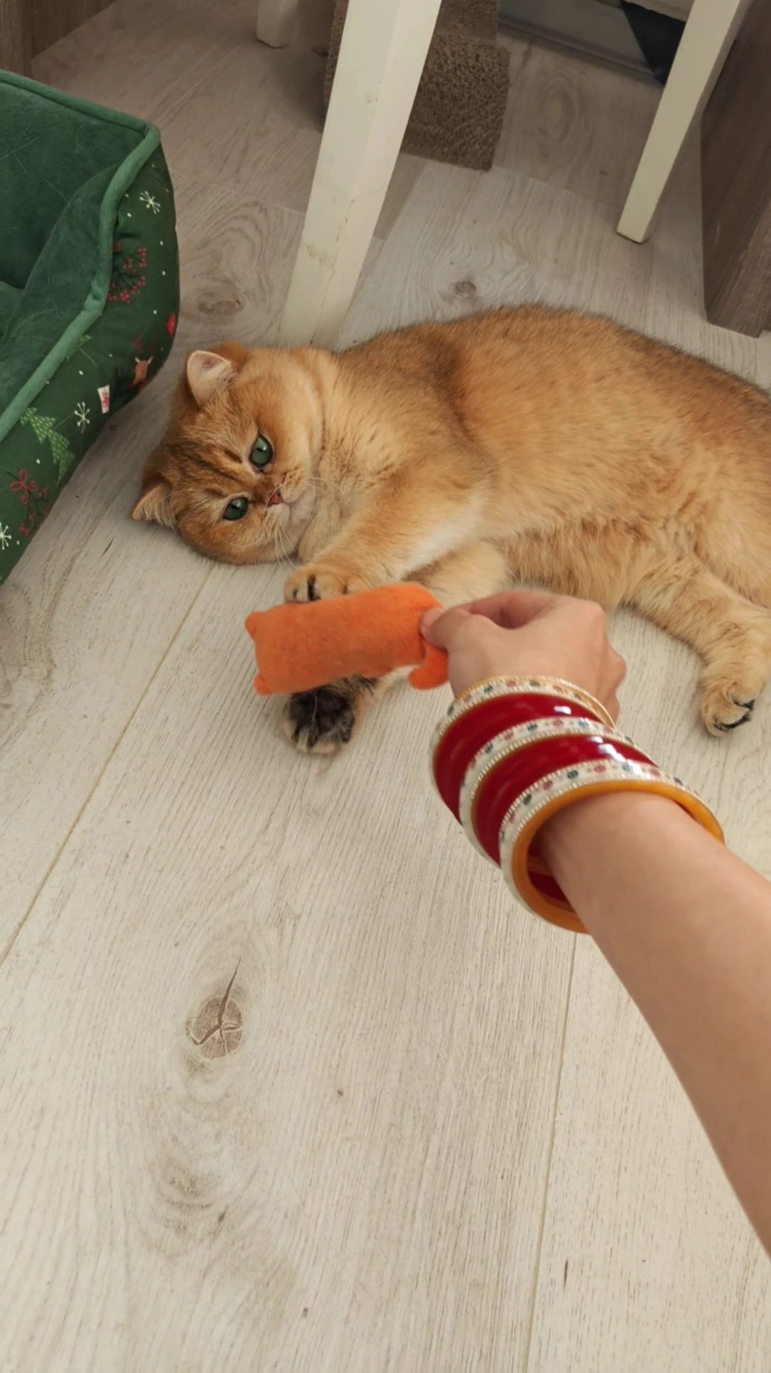 image-6