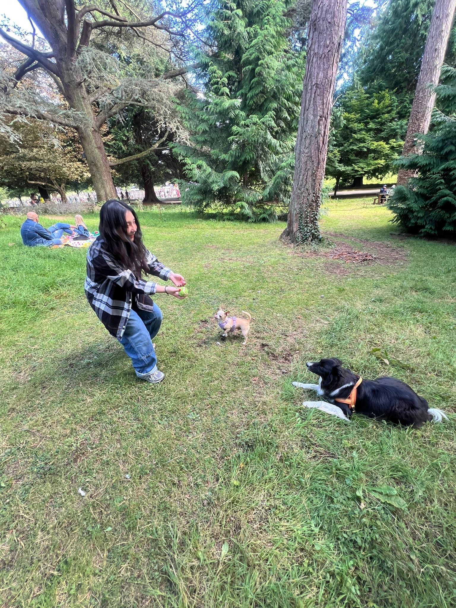 image-7