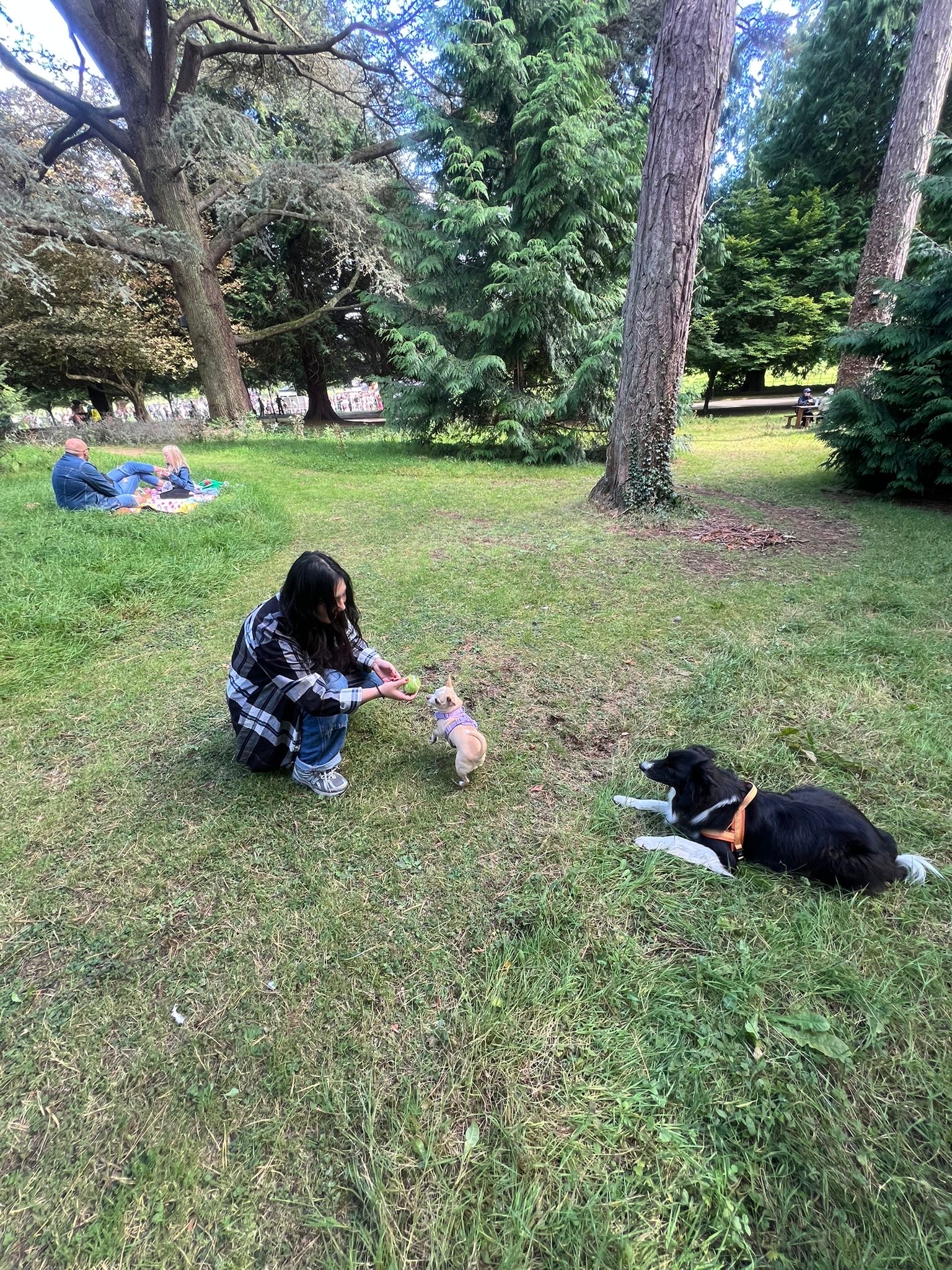 image-9