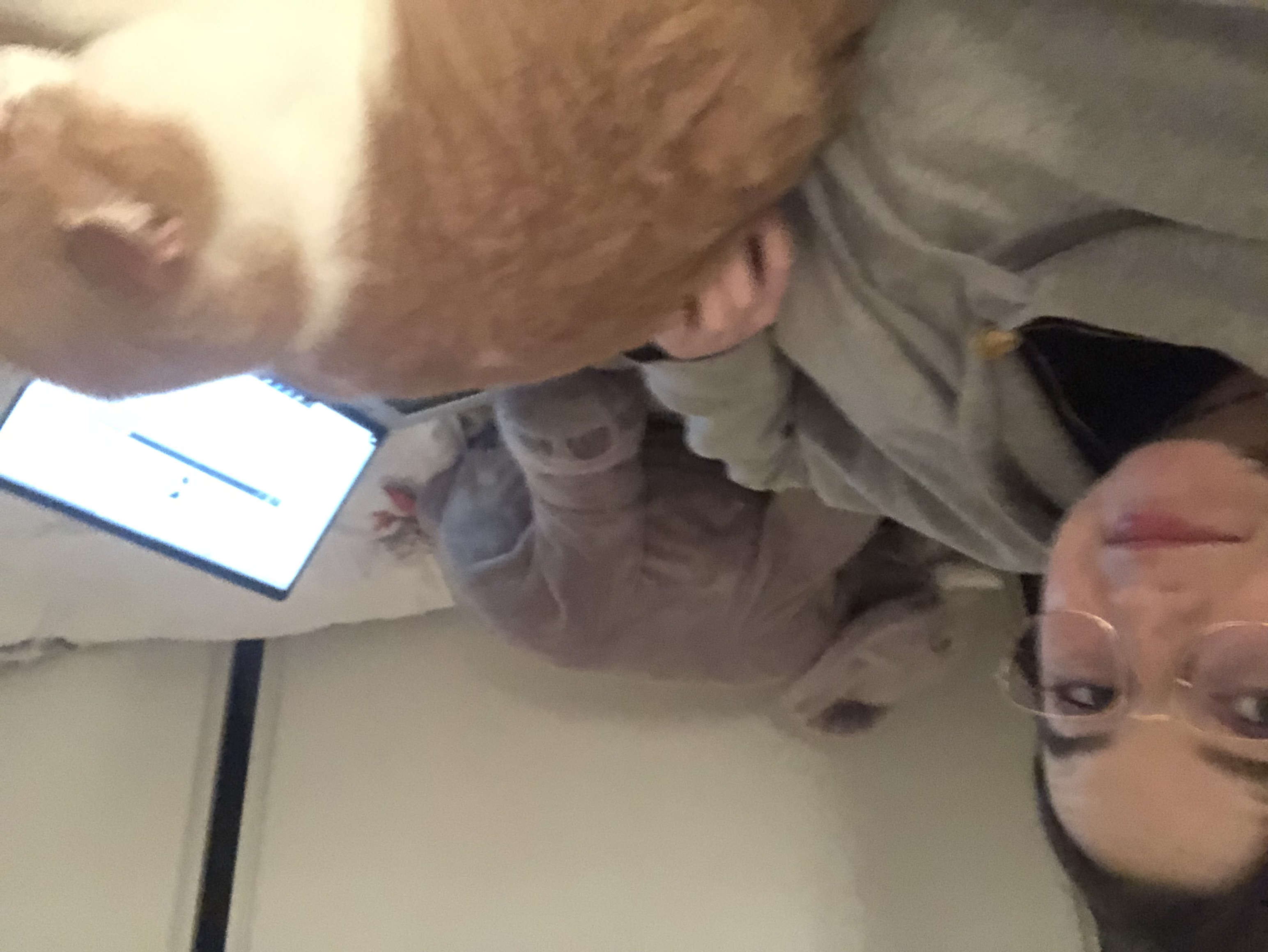 image-6