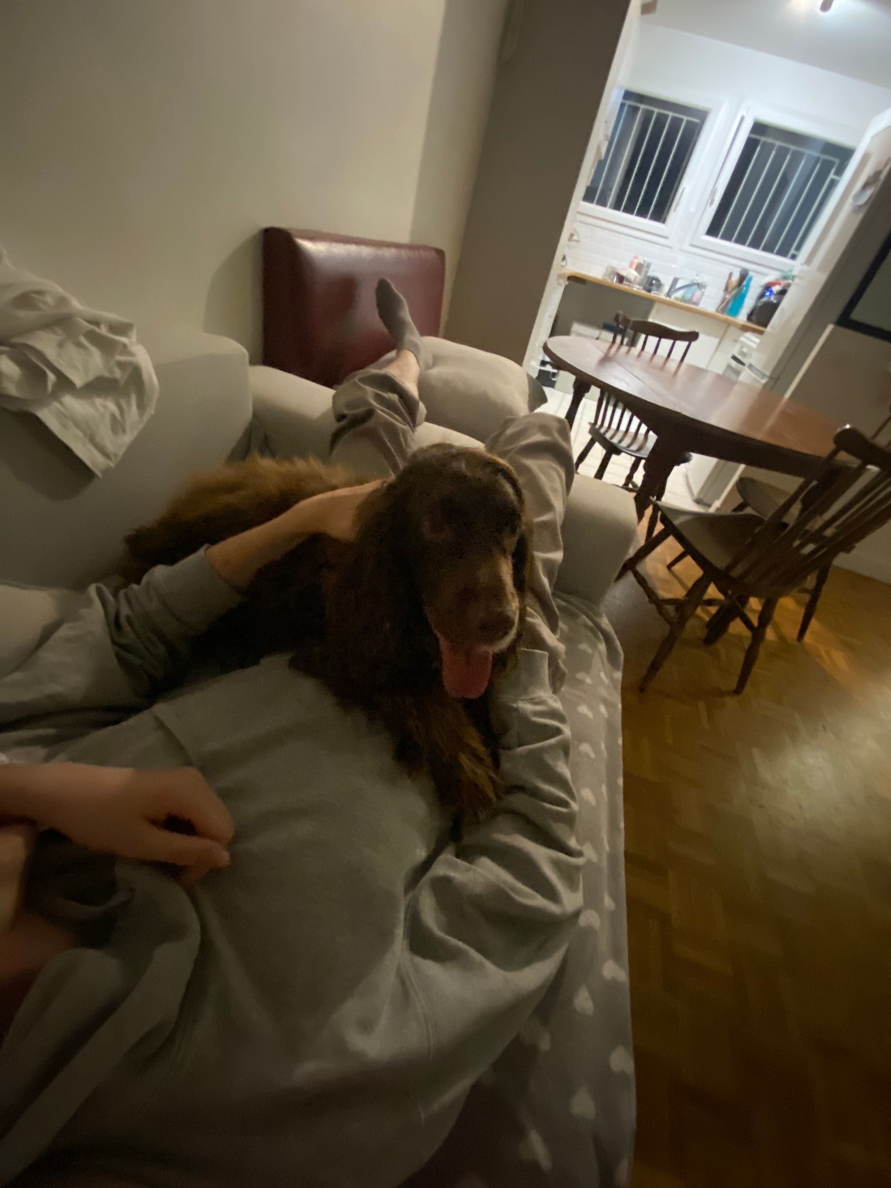 image-1