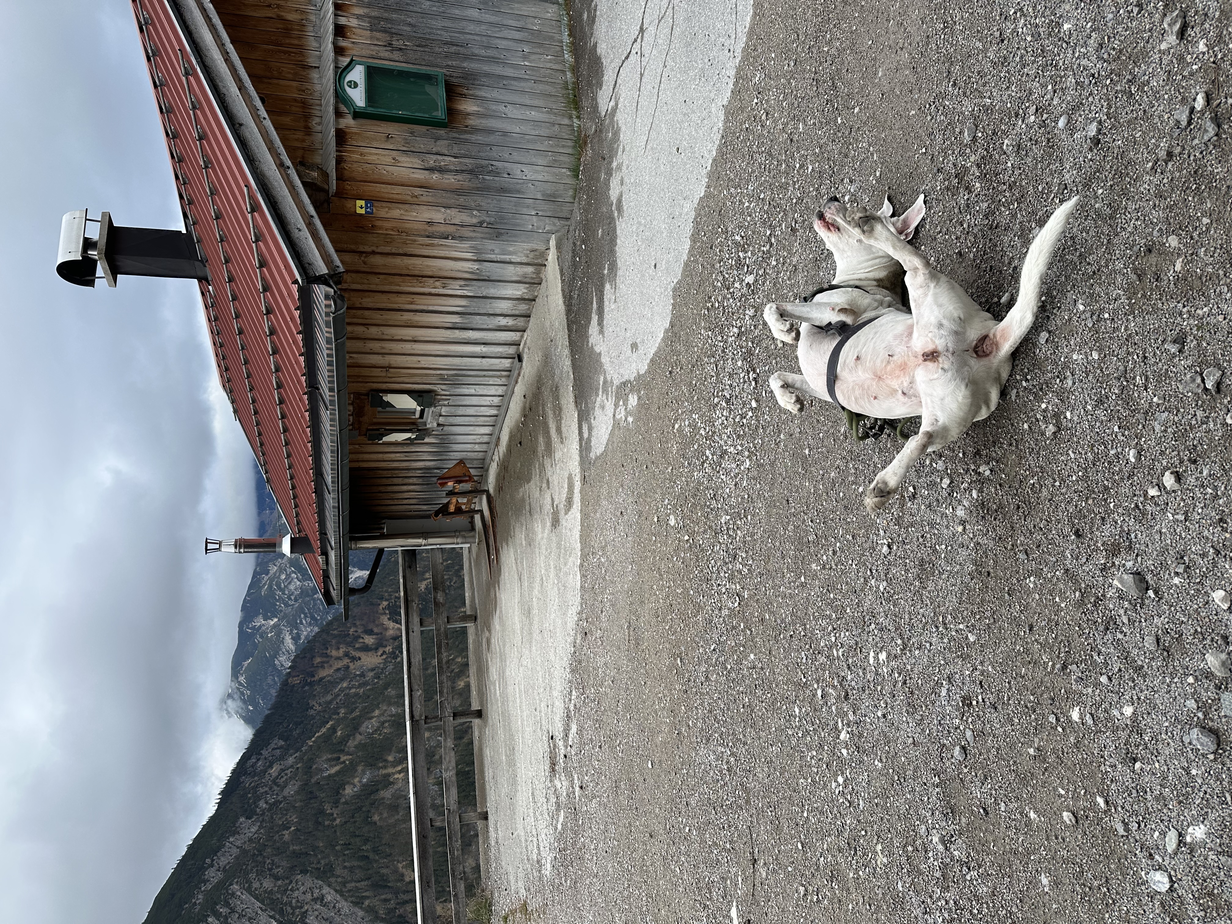 image-65