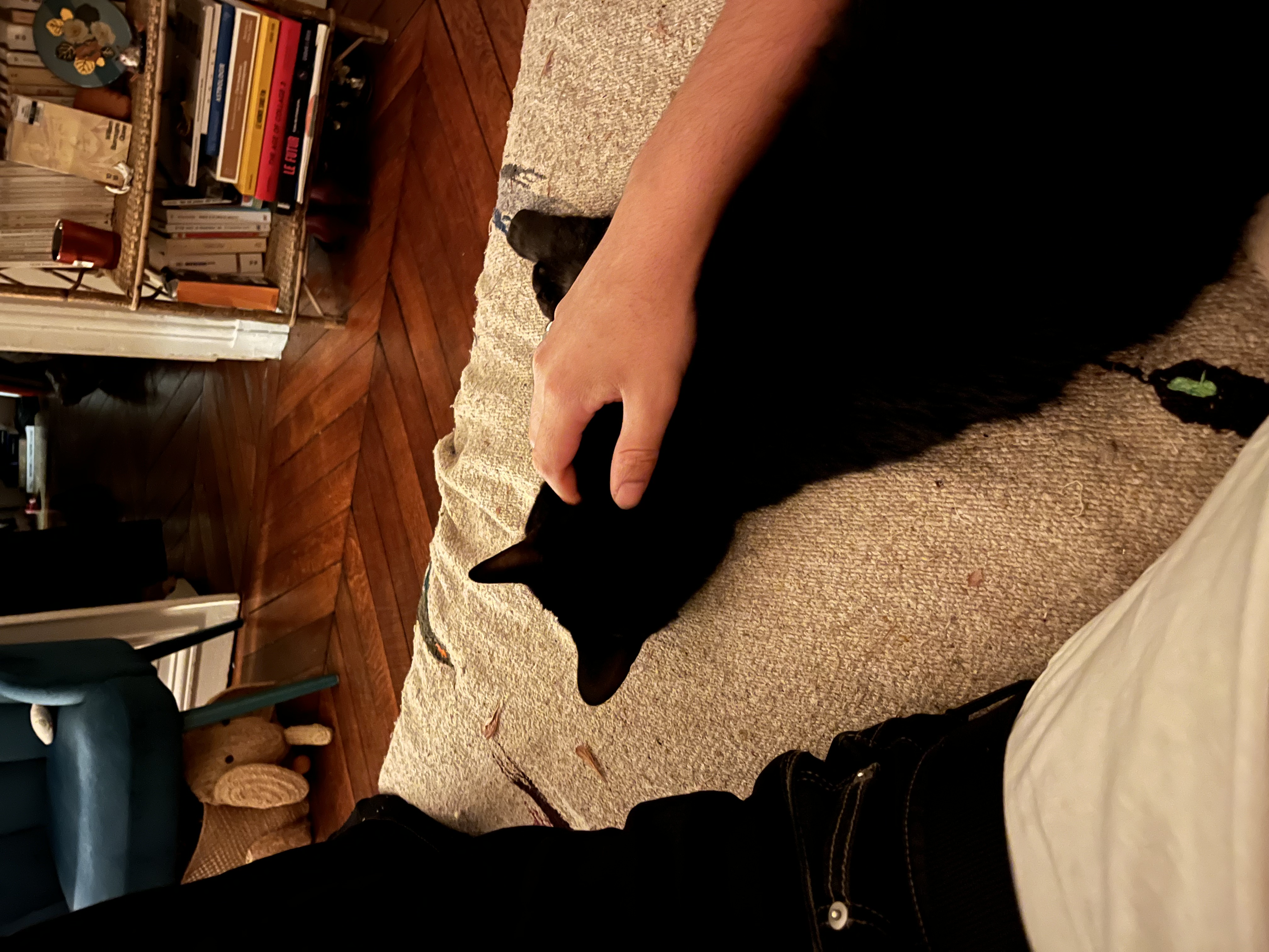 image-8