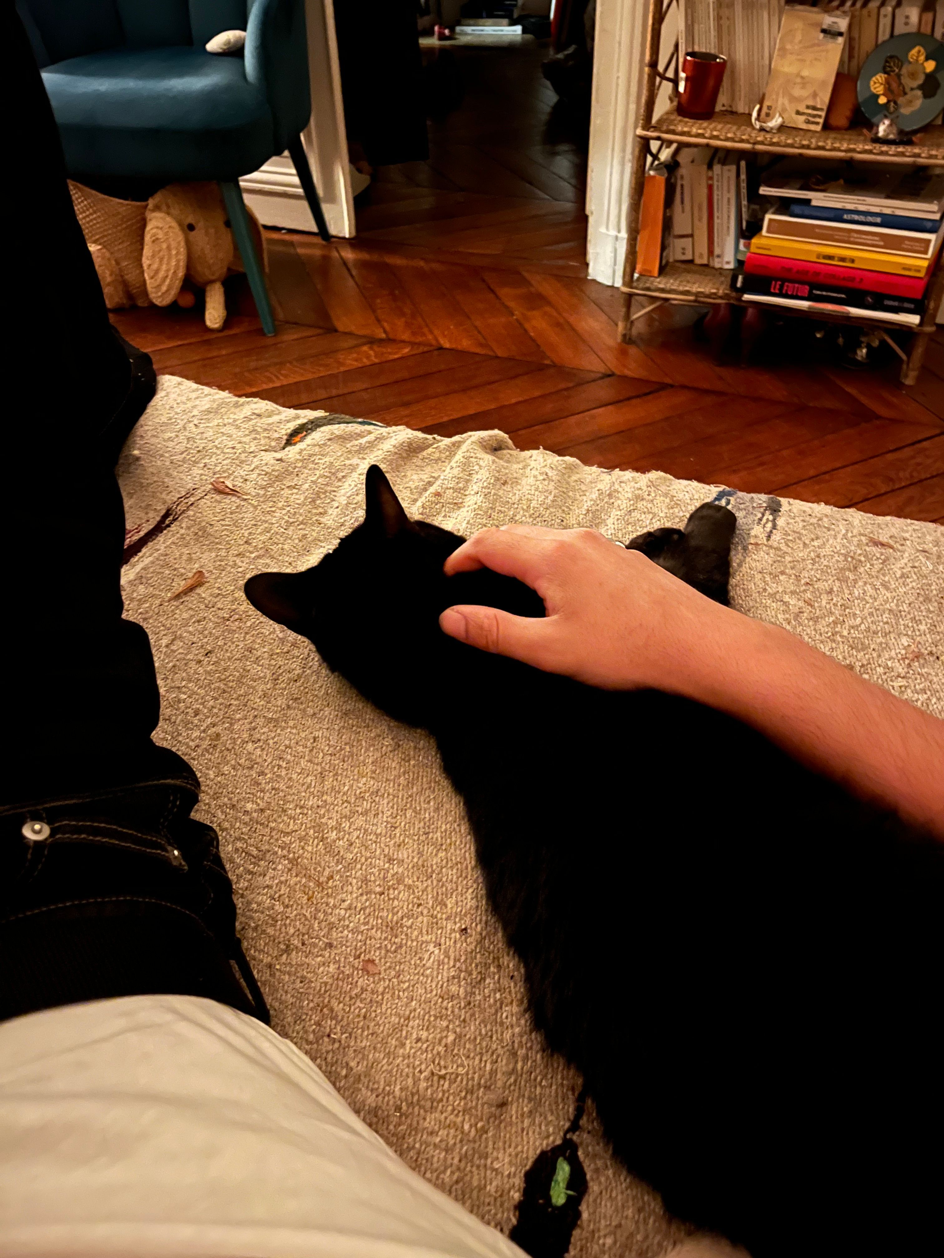 image-8