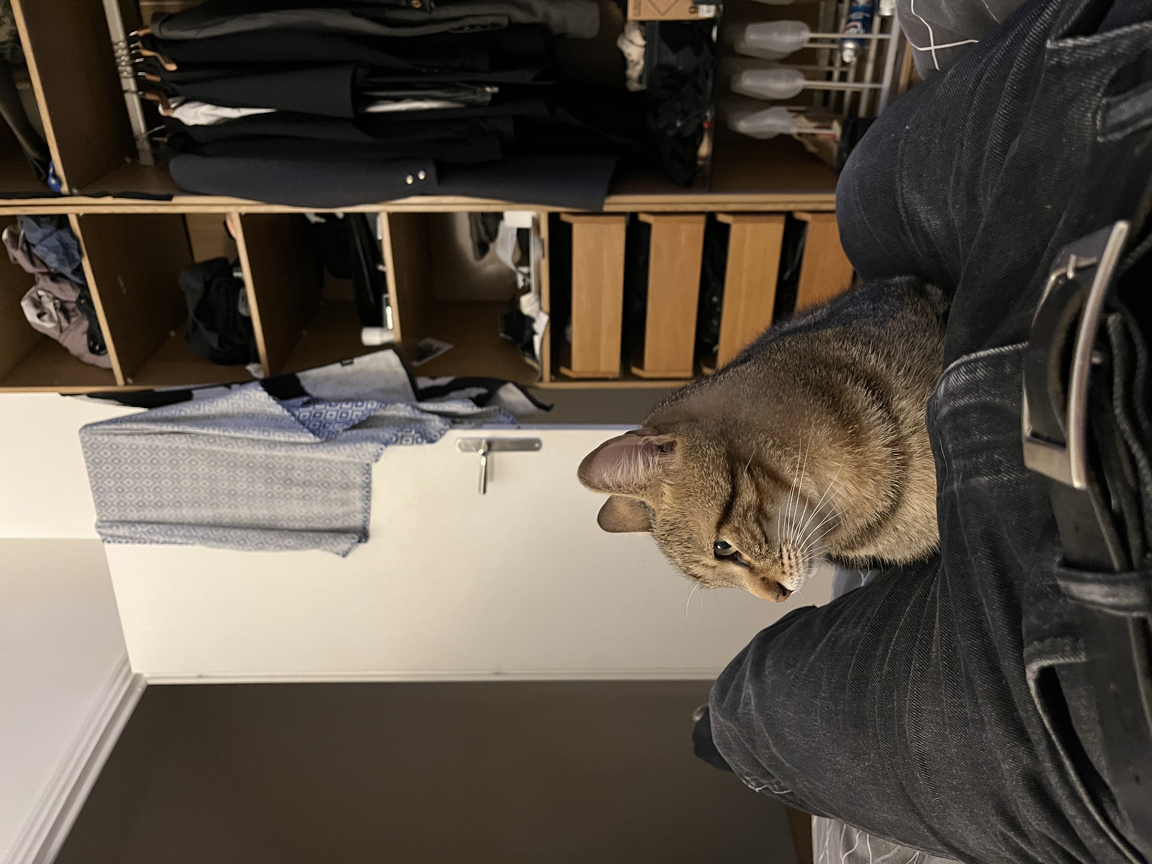 image-6