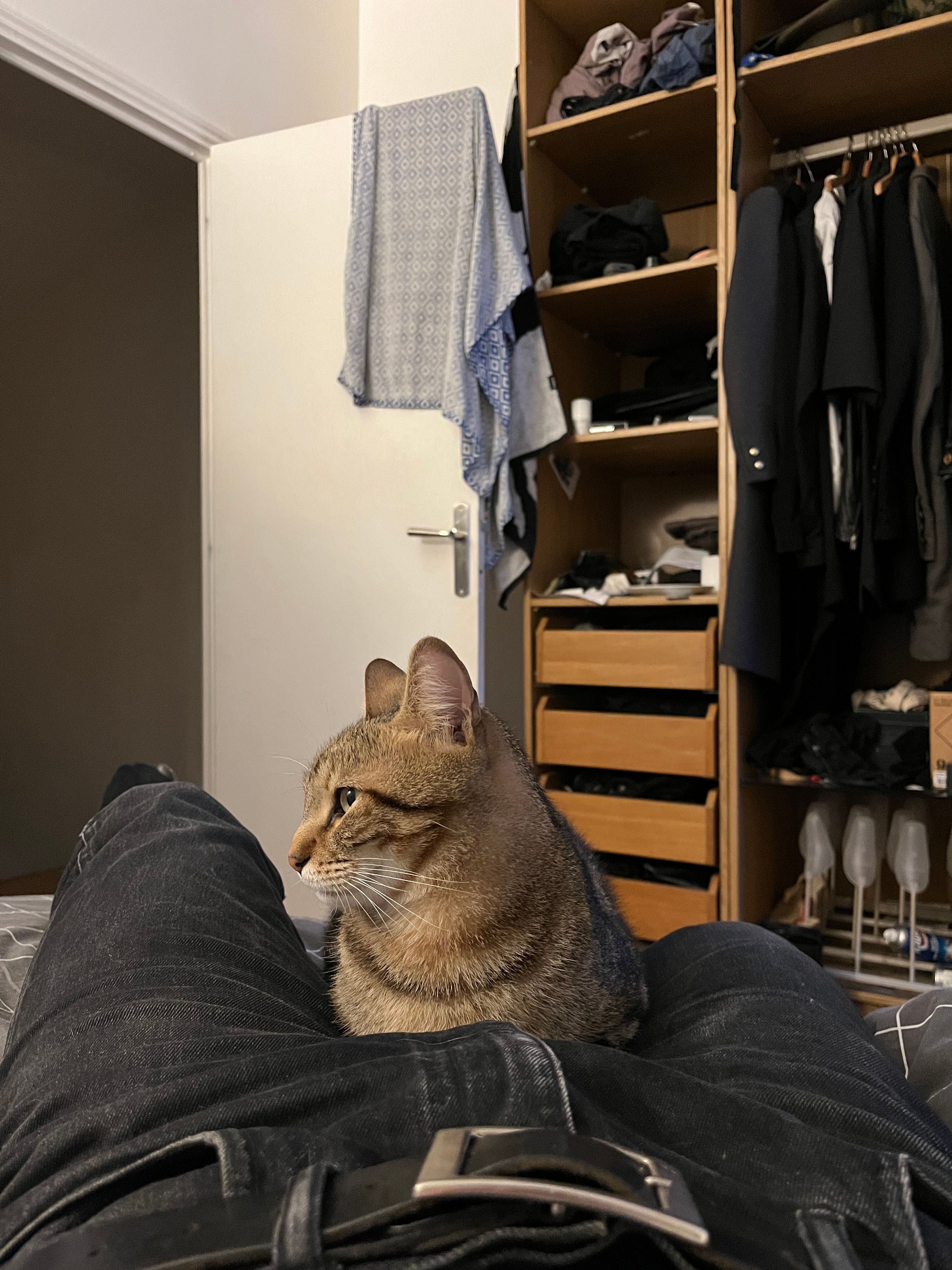 image-6
