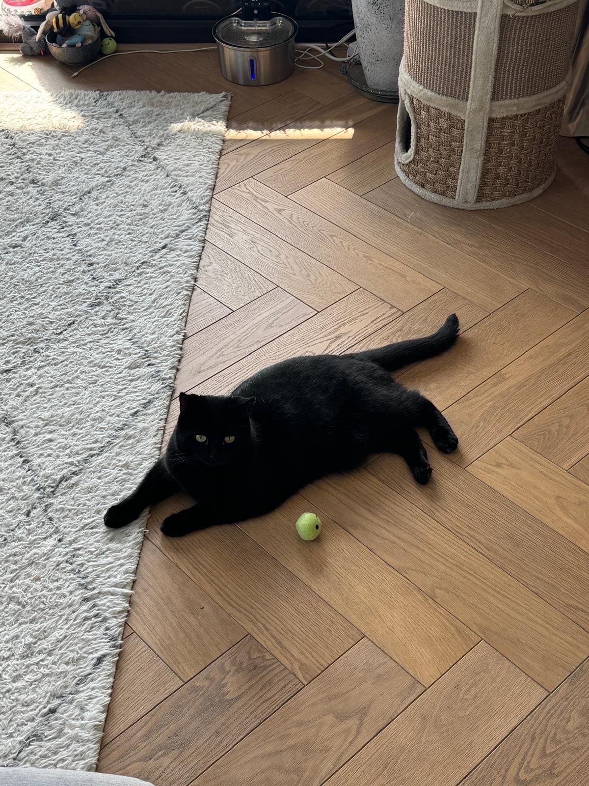 image-6