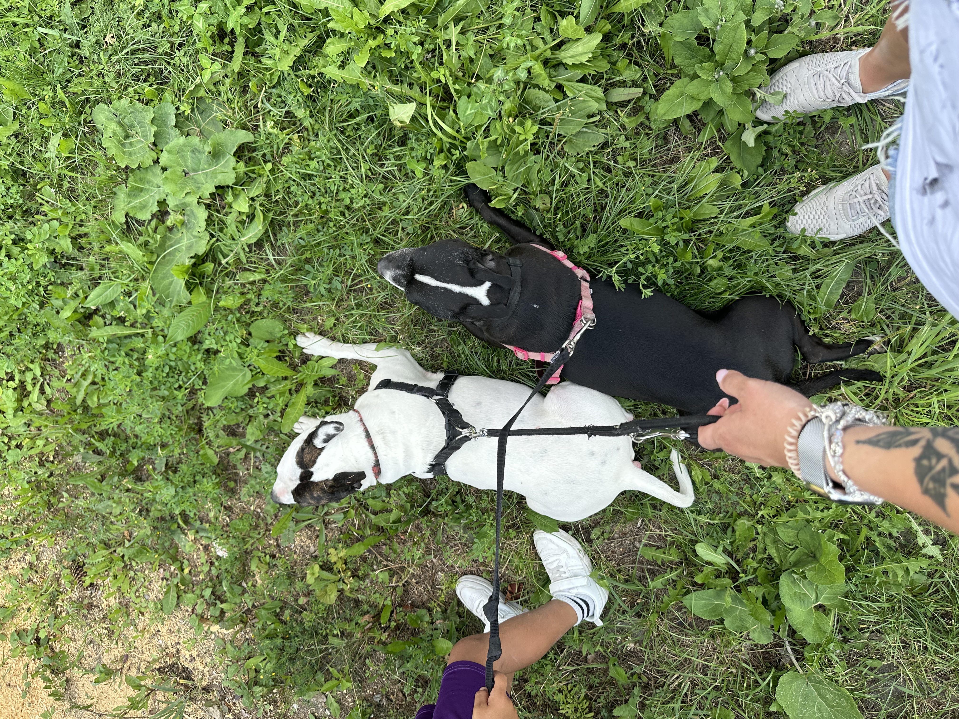 image-5