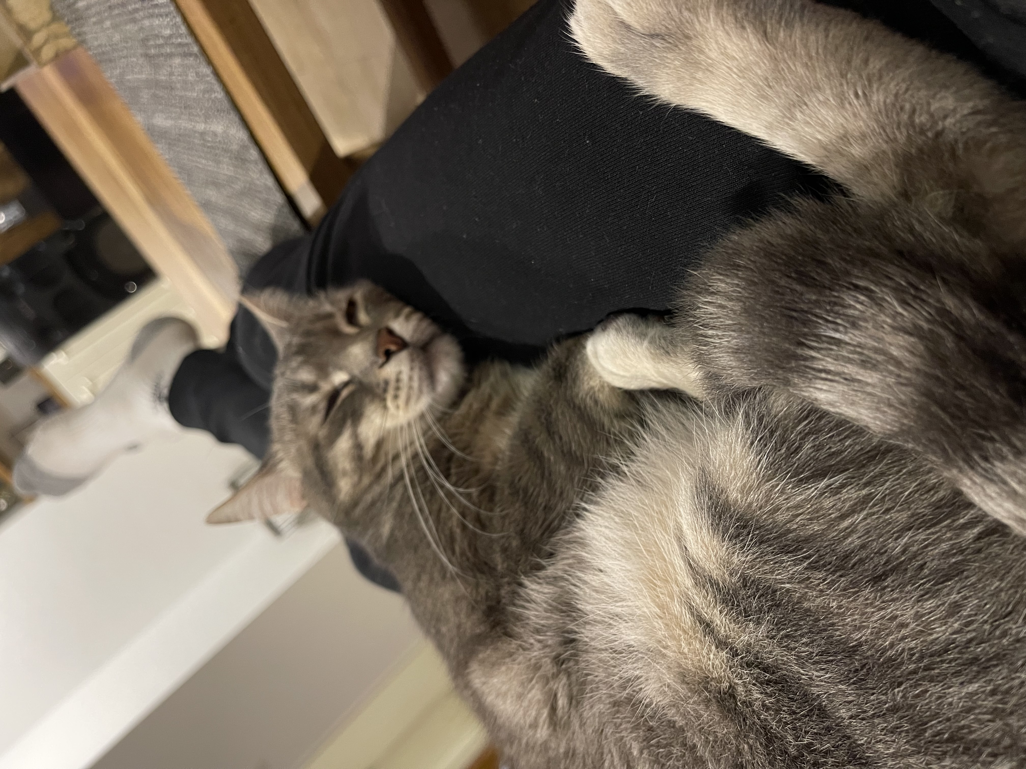 image-7
