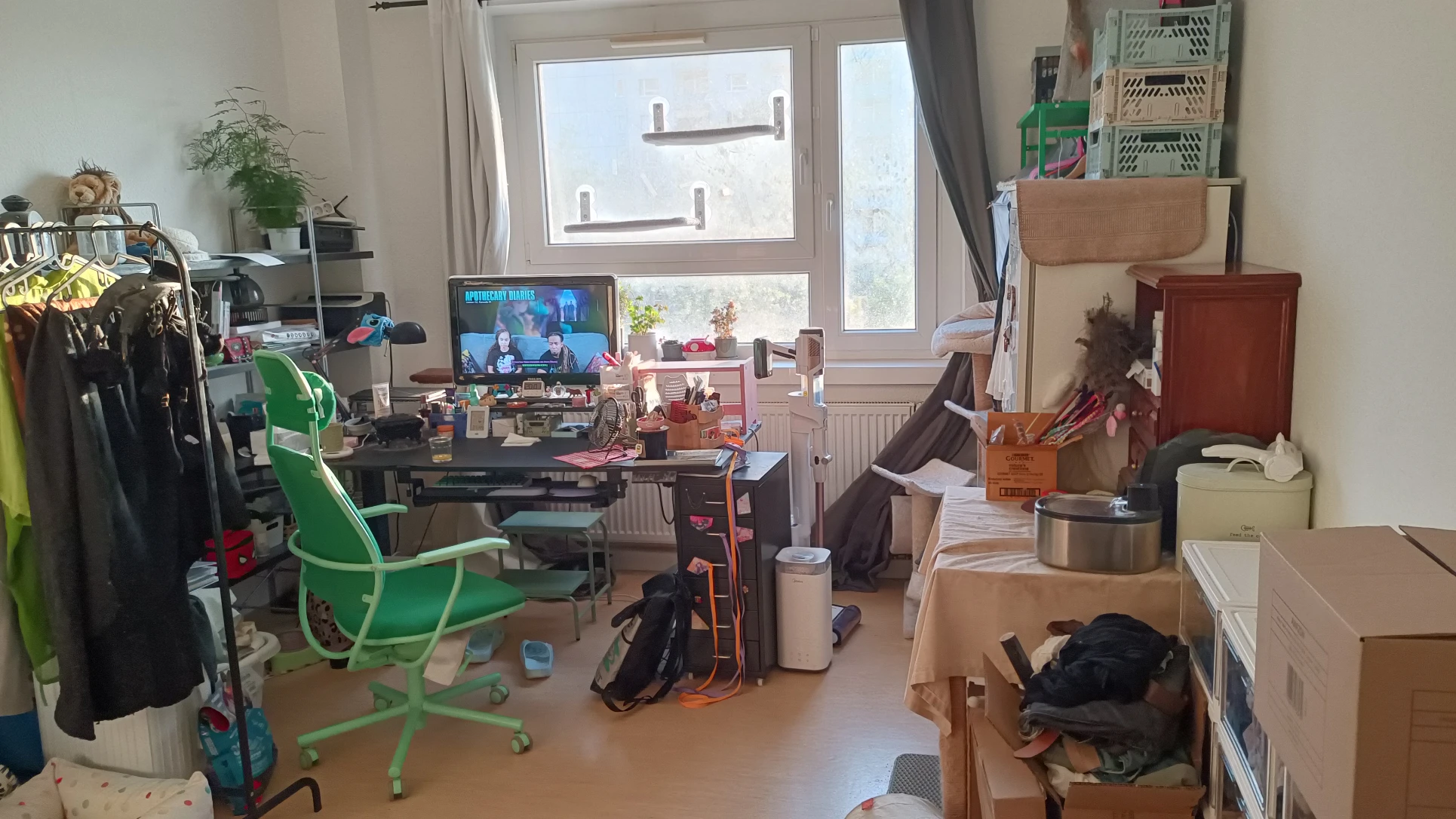 image-11