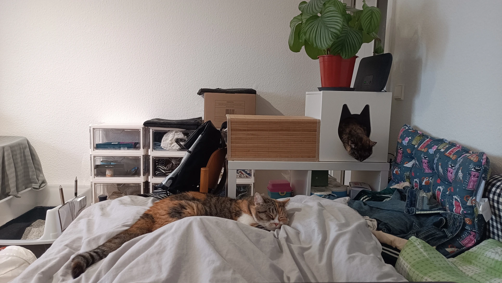 image-12