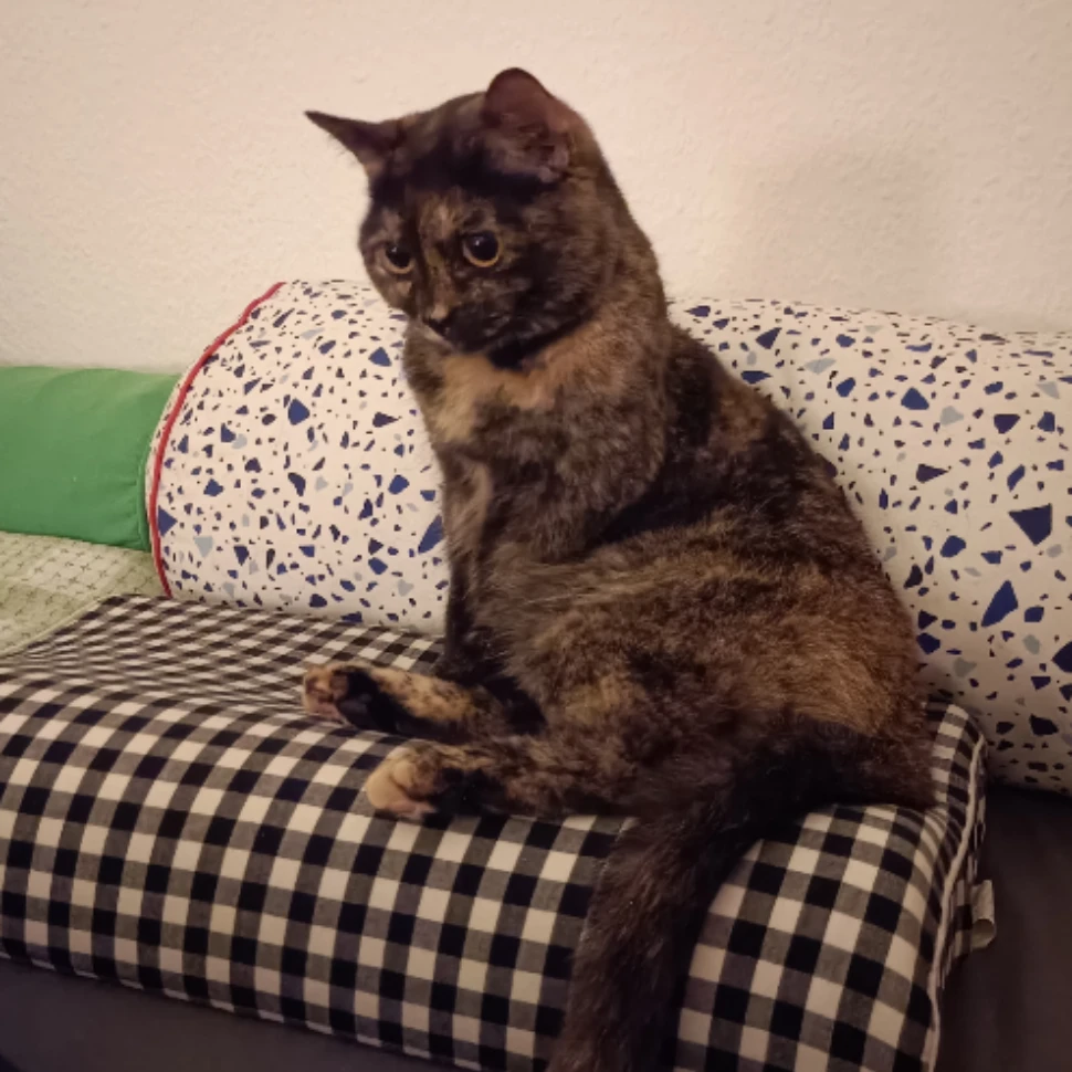 Artemis