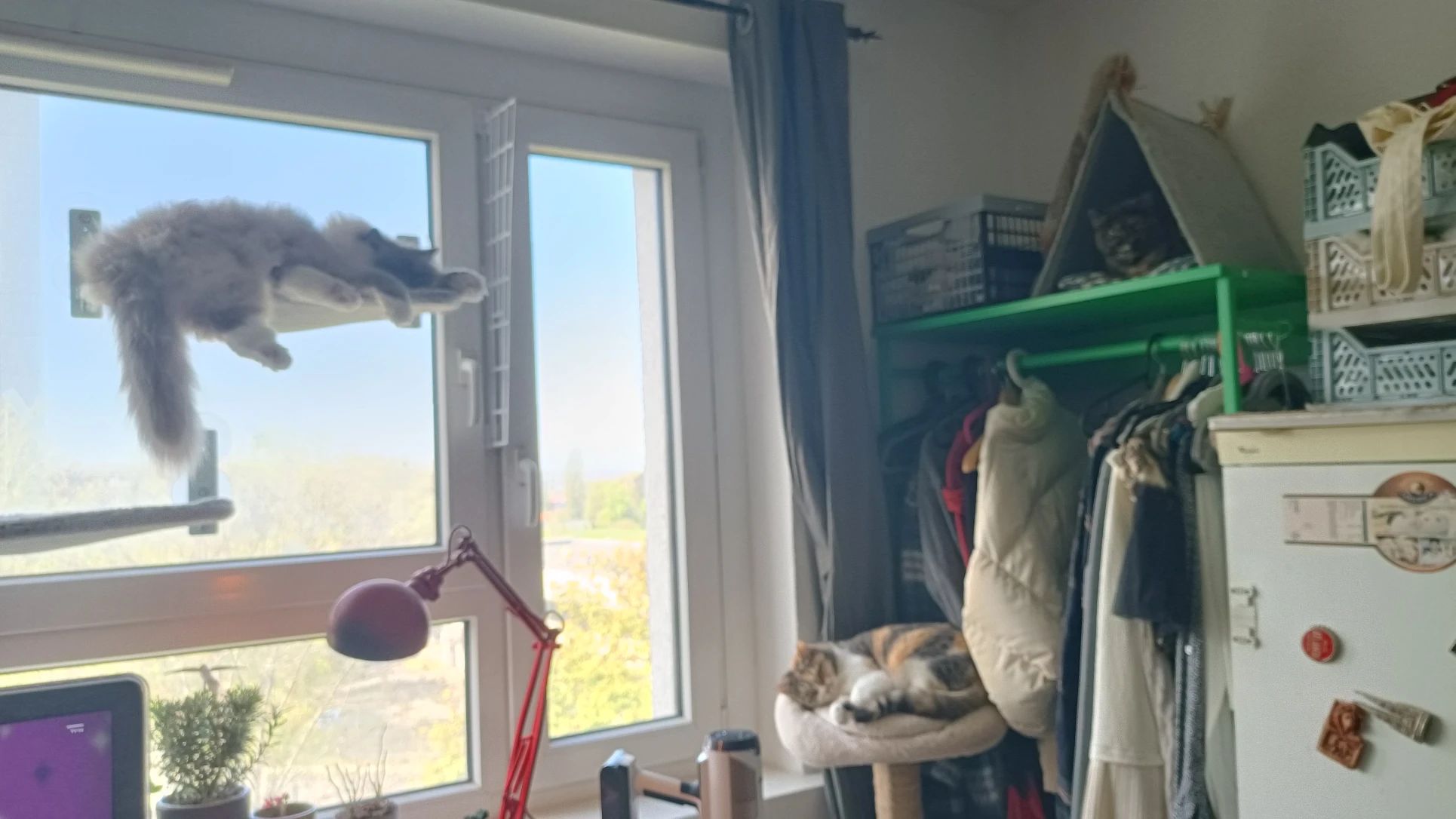 image-10