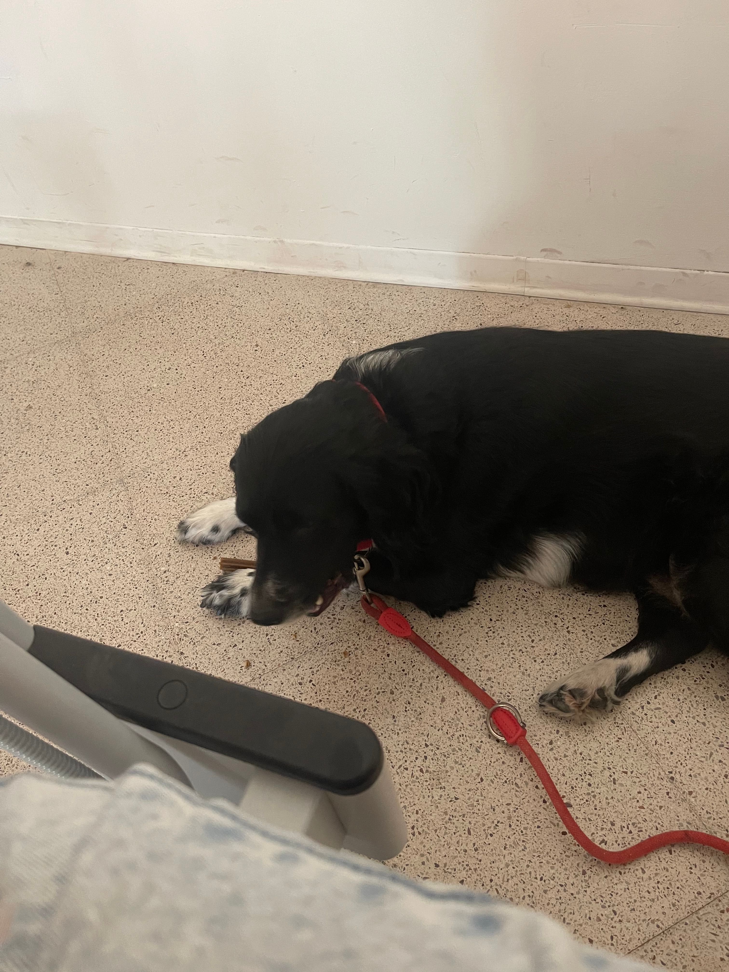 image-18