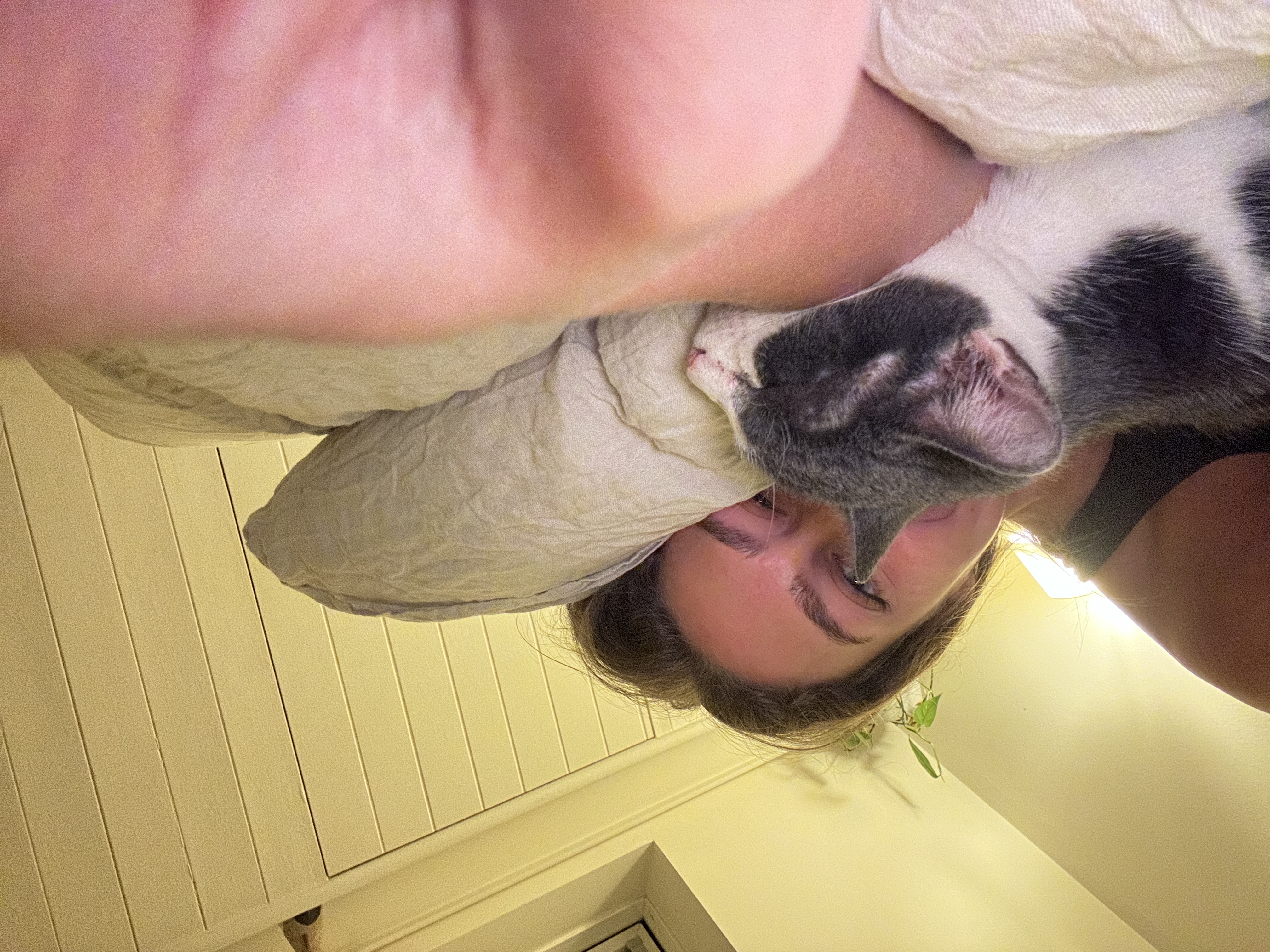 image-6