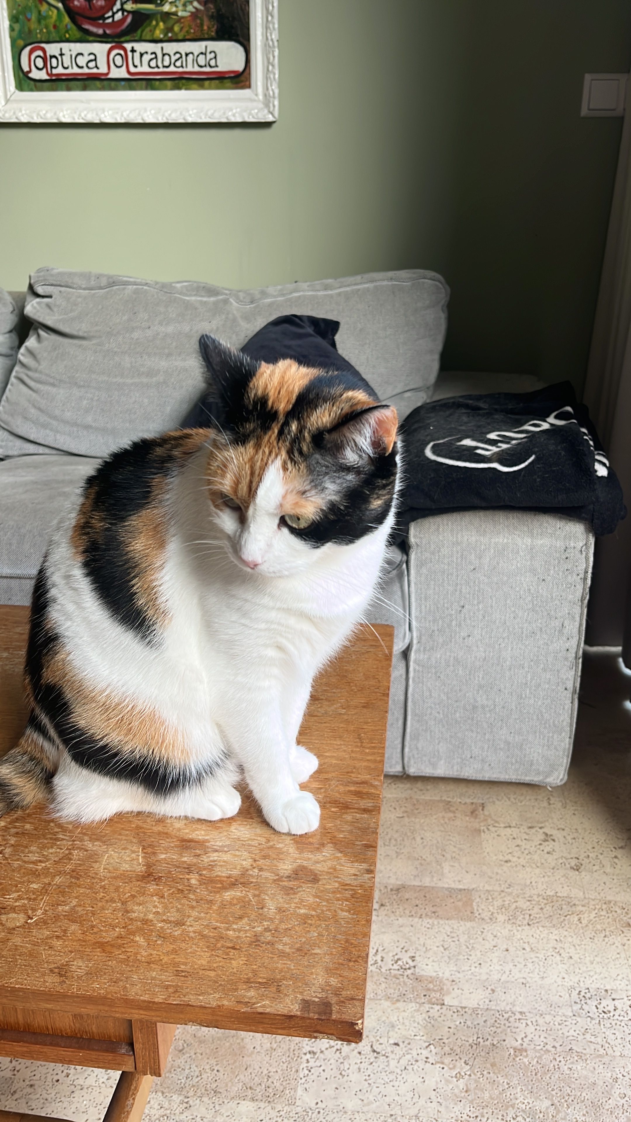 image-6