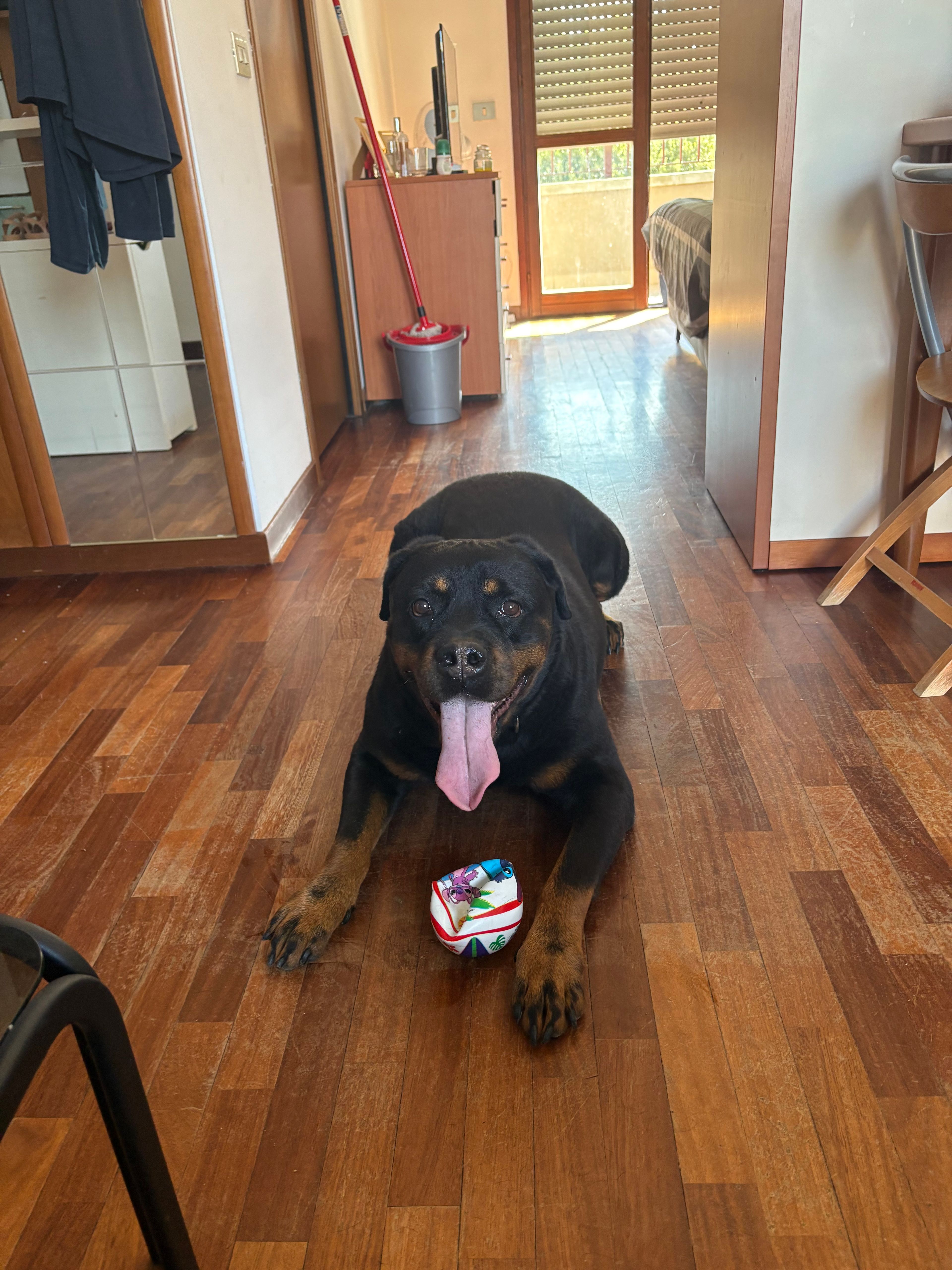 image-12