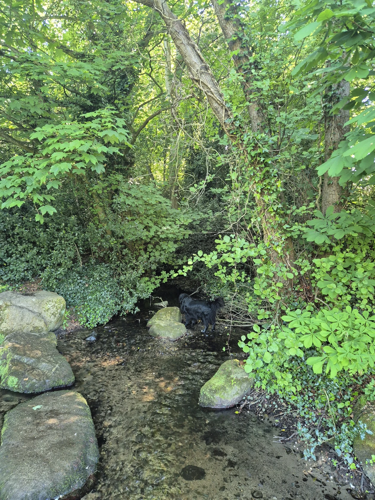 image-8