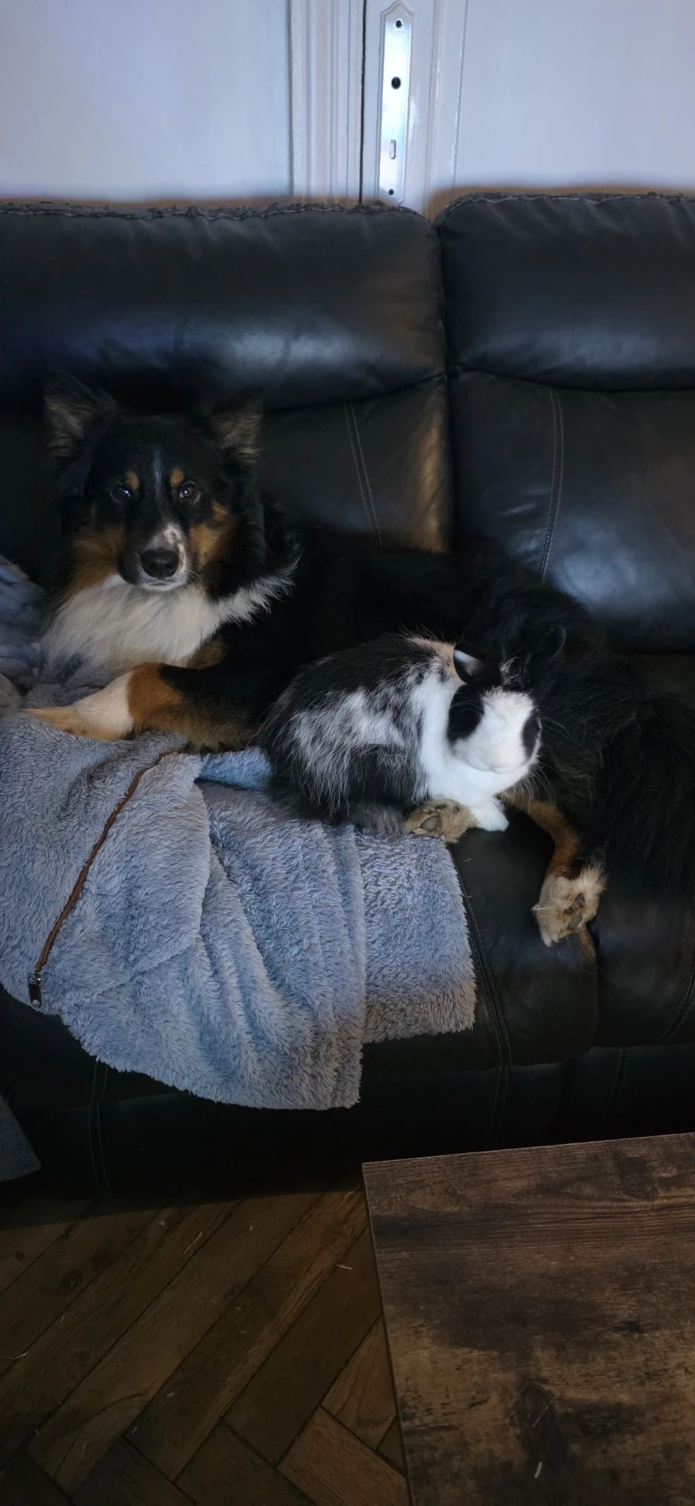image-14