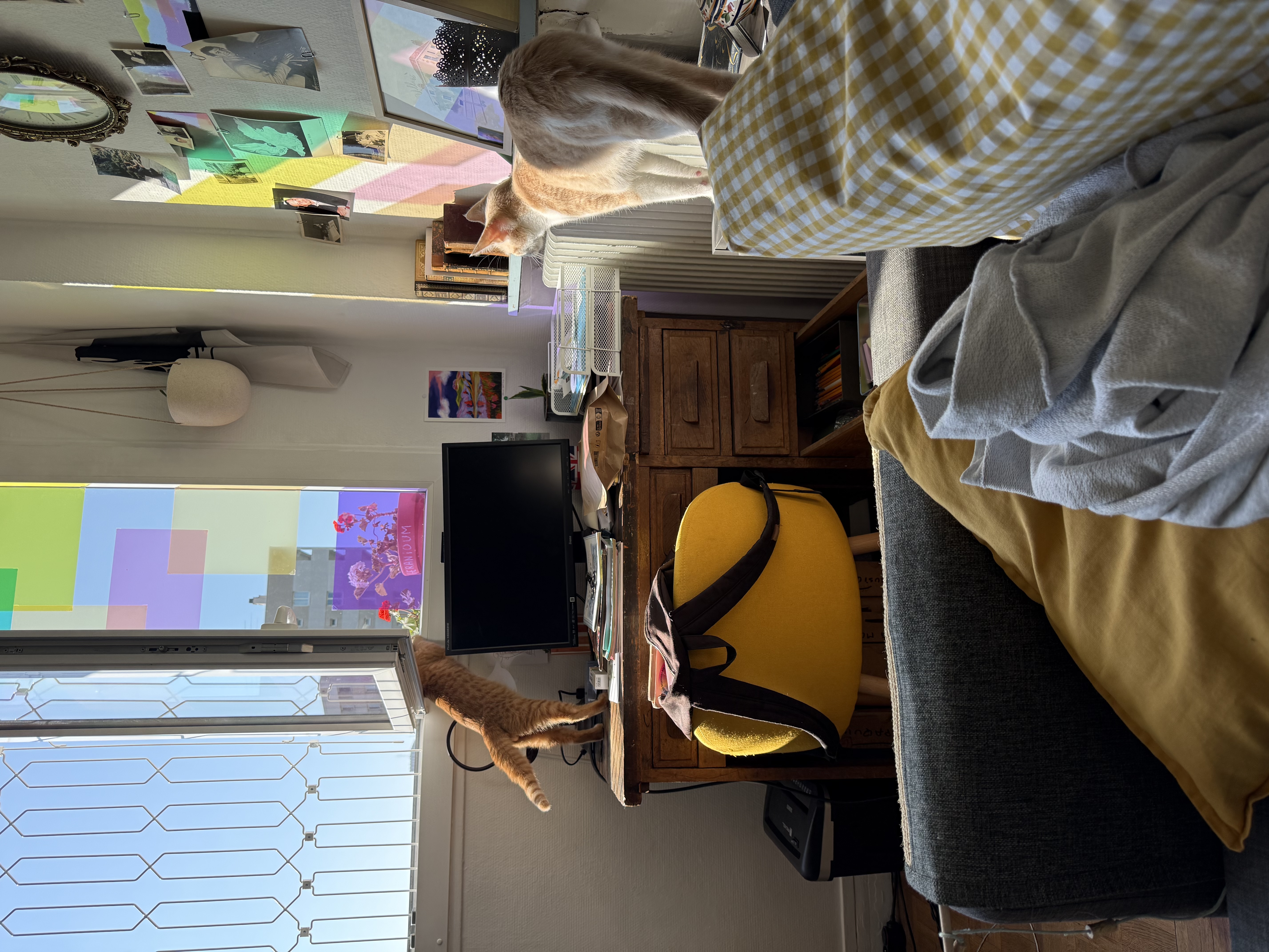 image-14