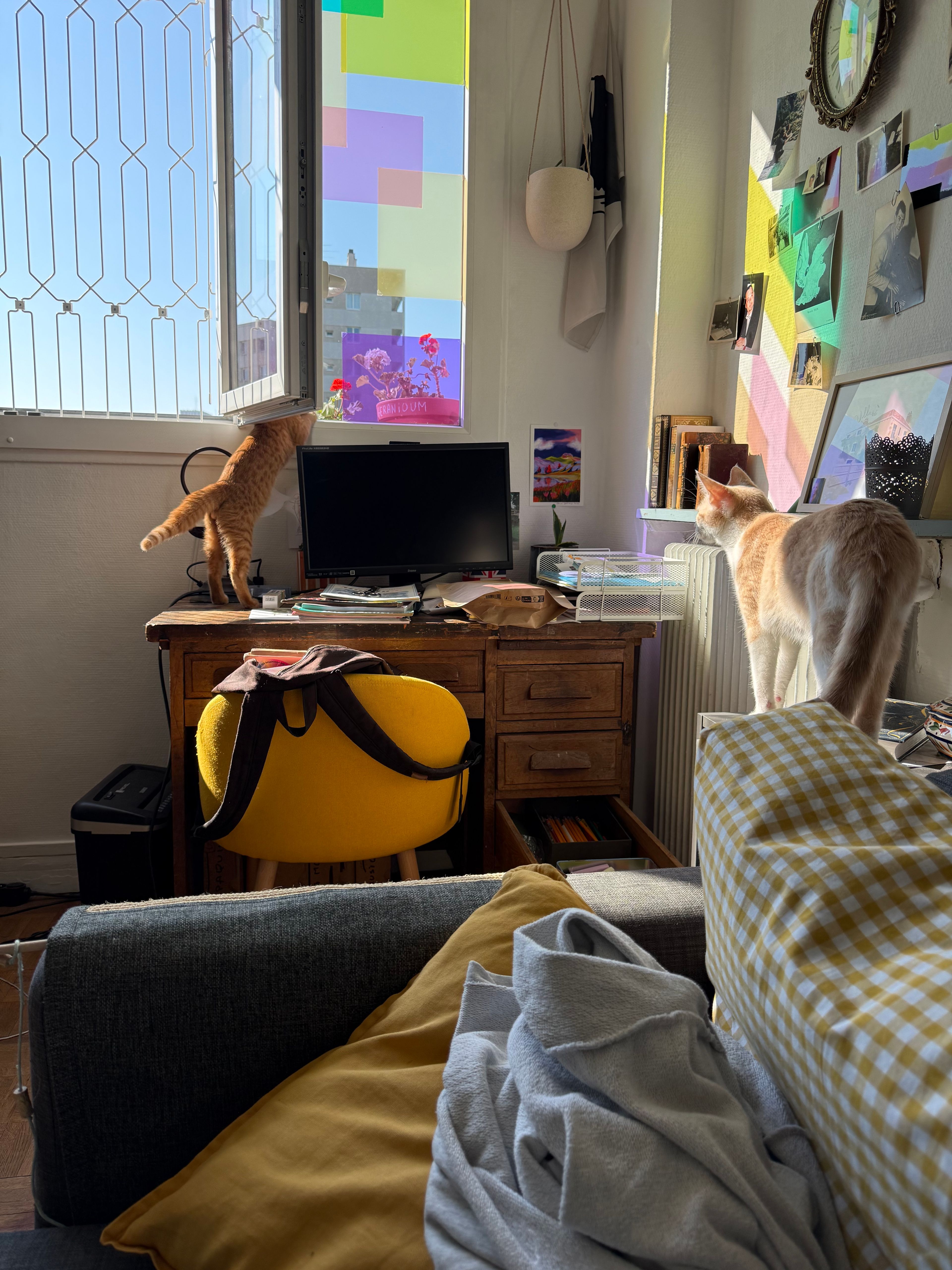 image-14