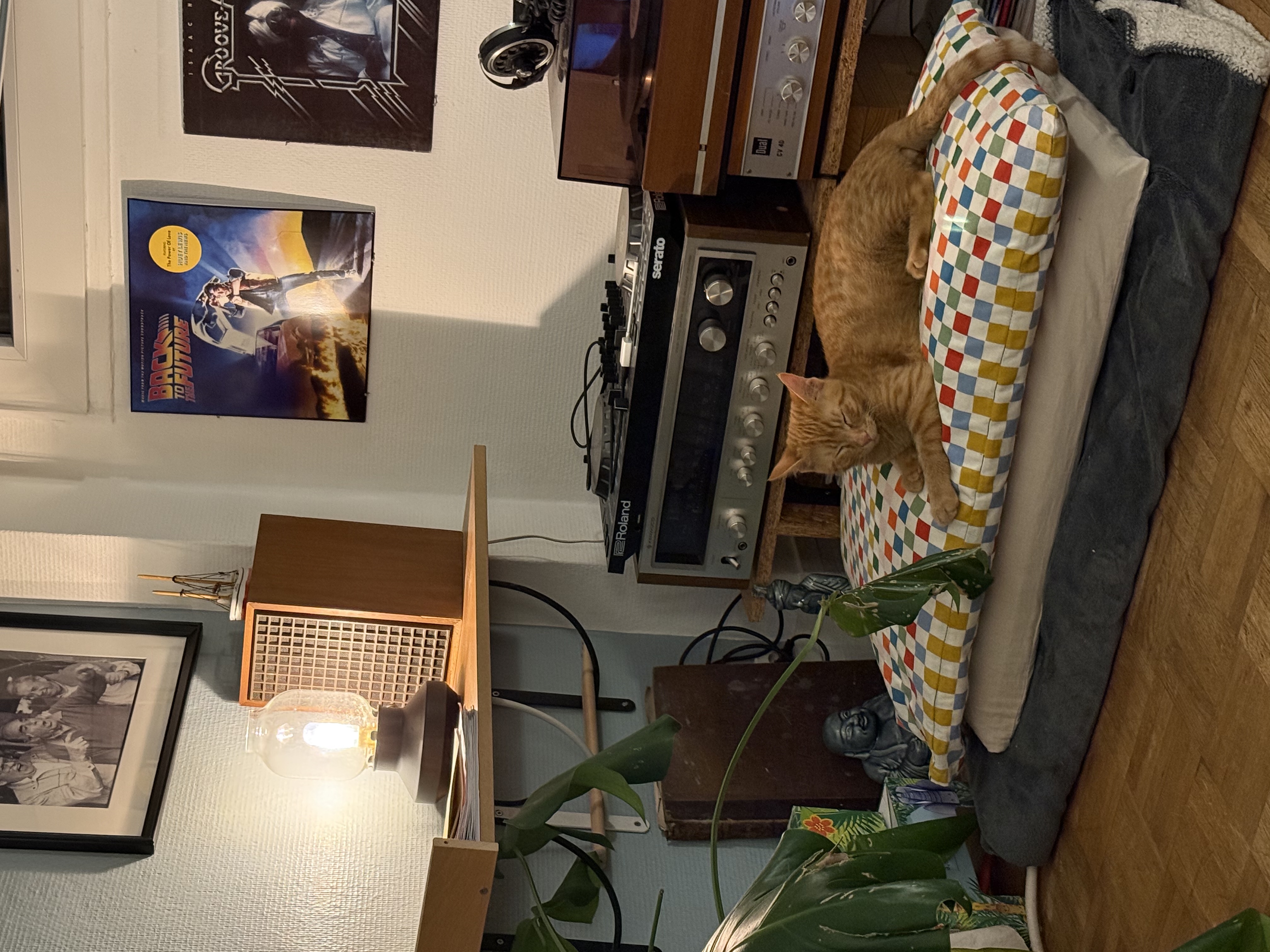 image-15