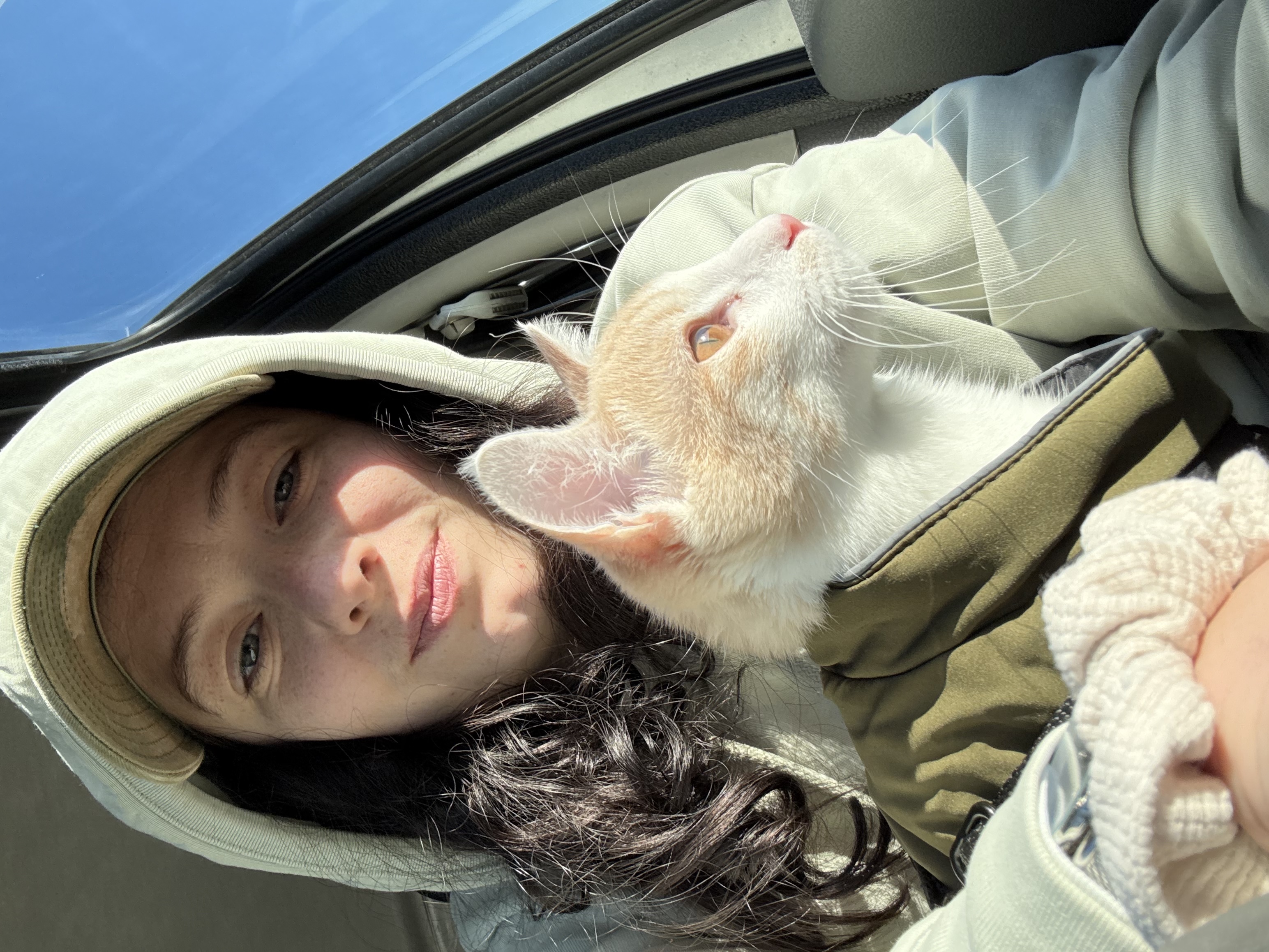 image-11