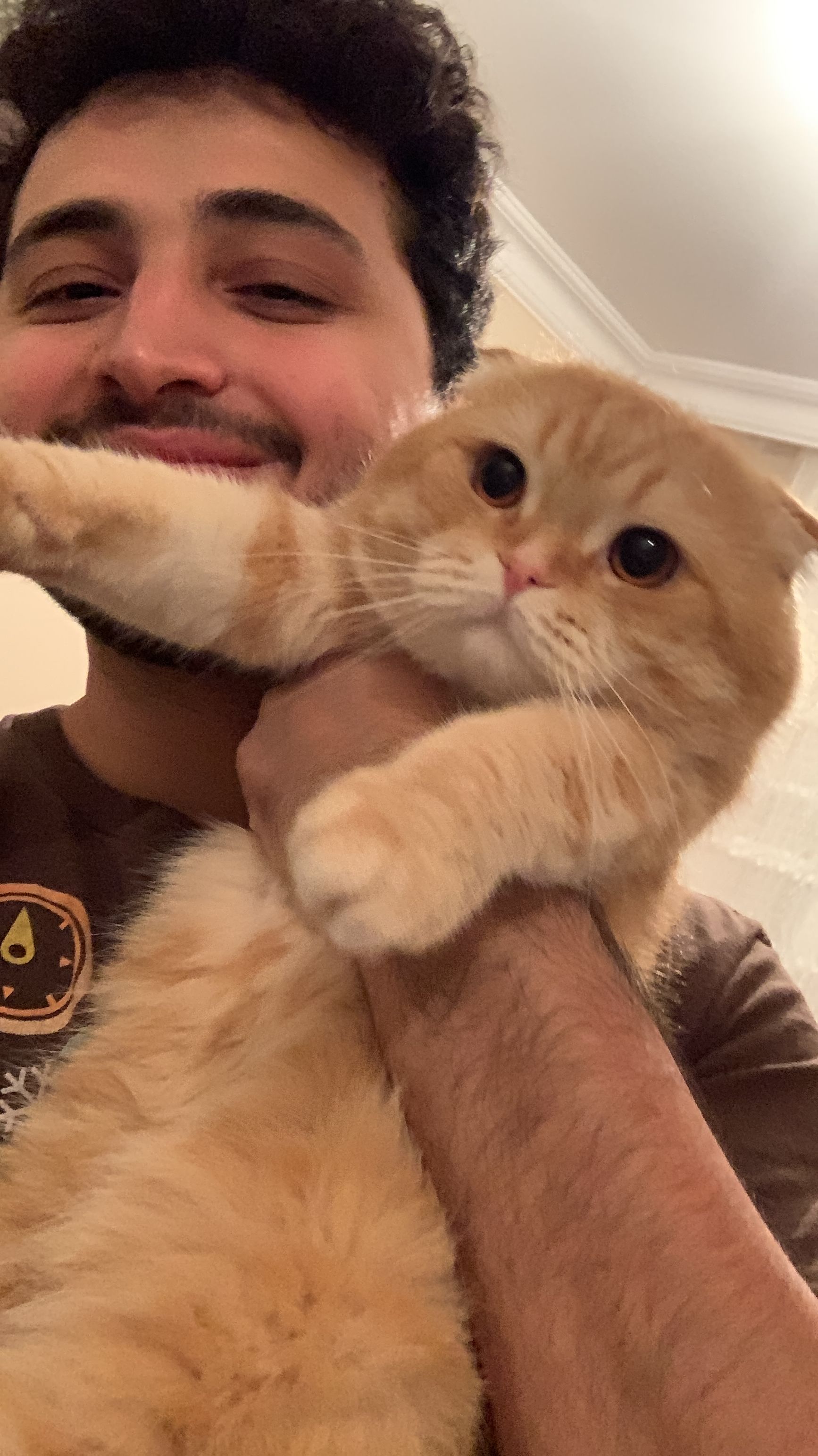 image-5