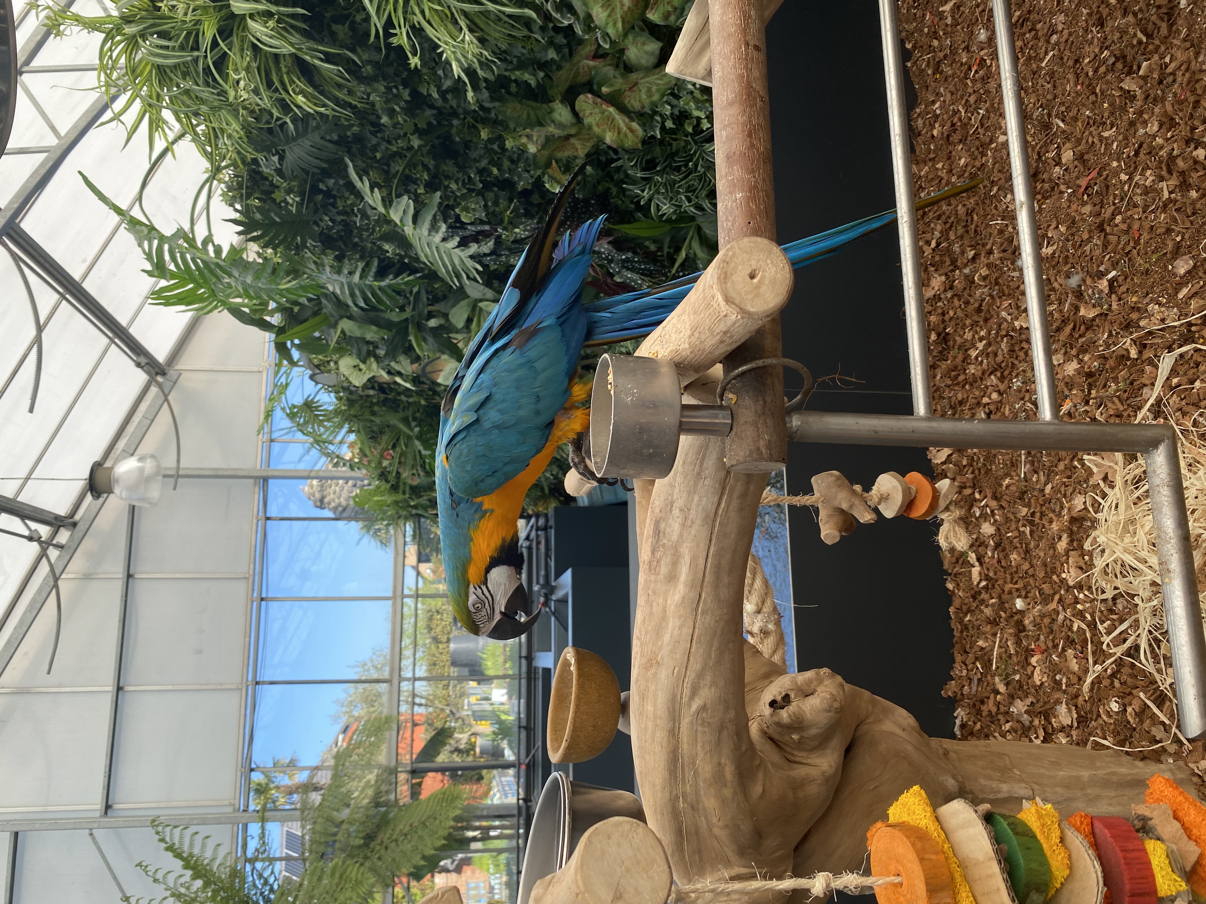 image-15