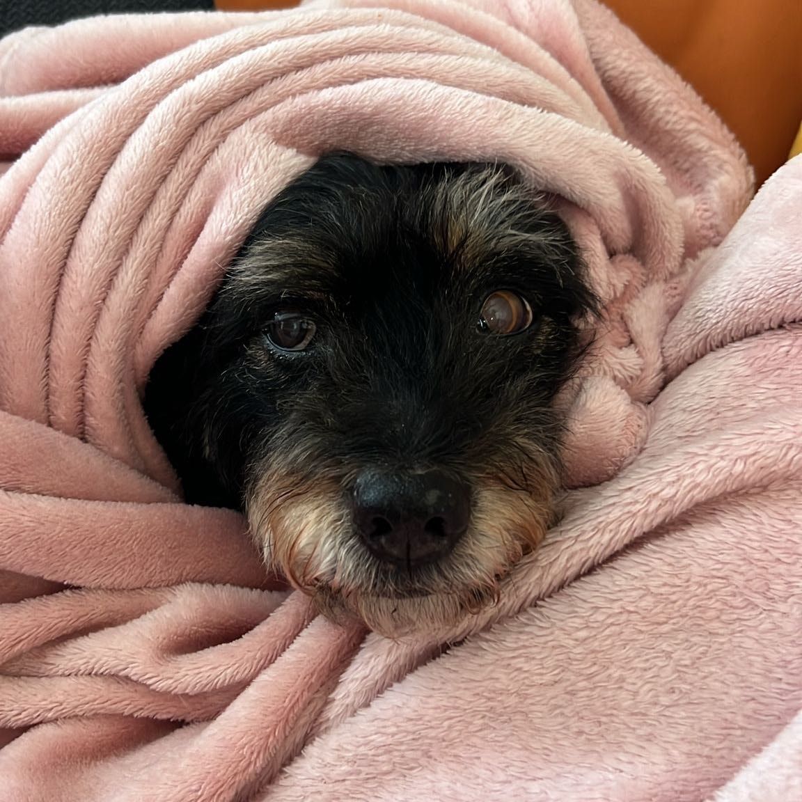 Minnie