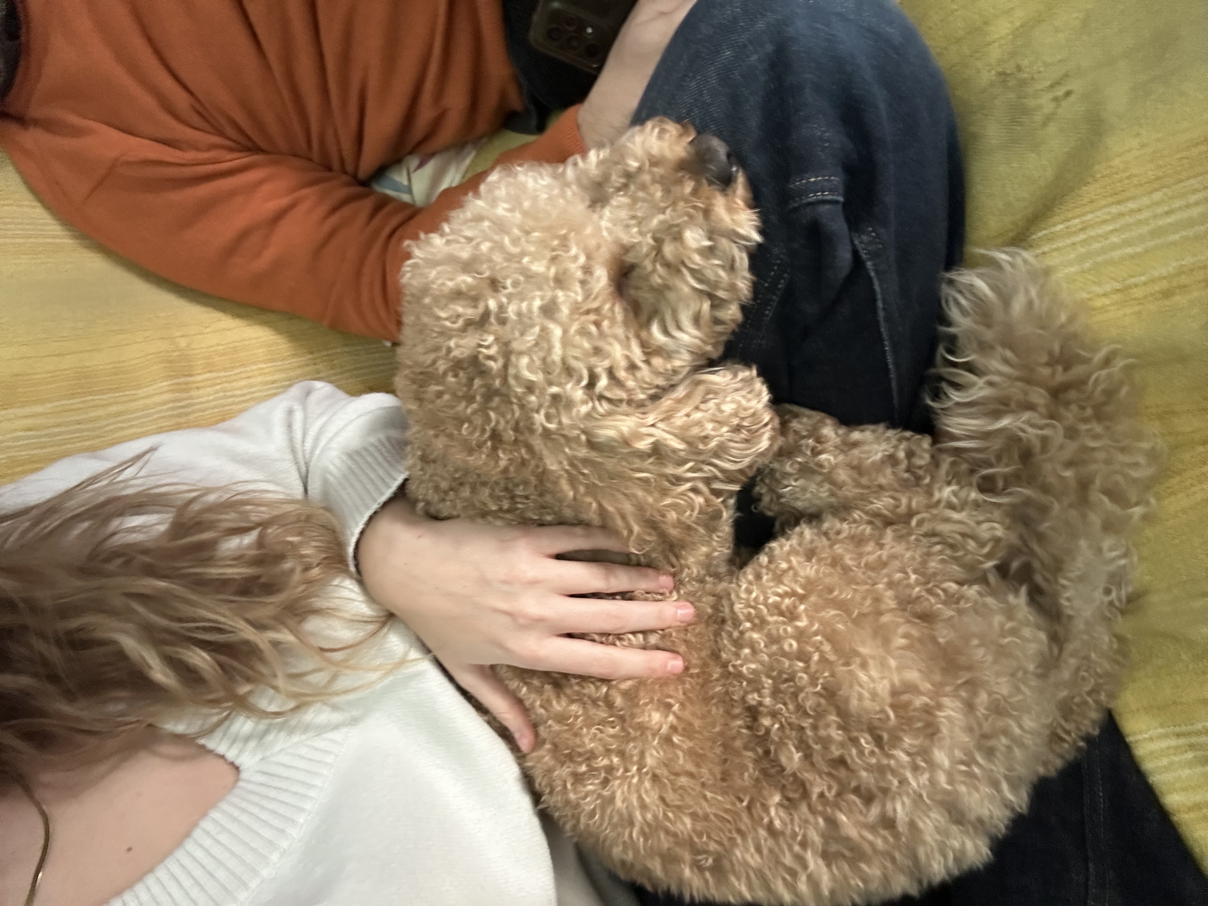 image-6