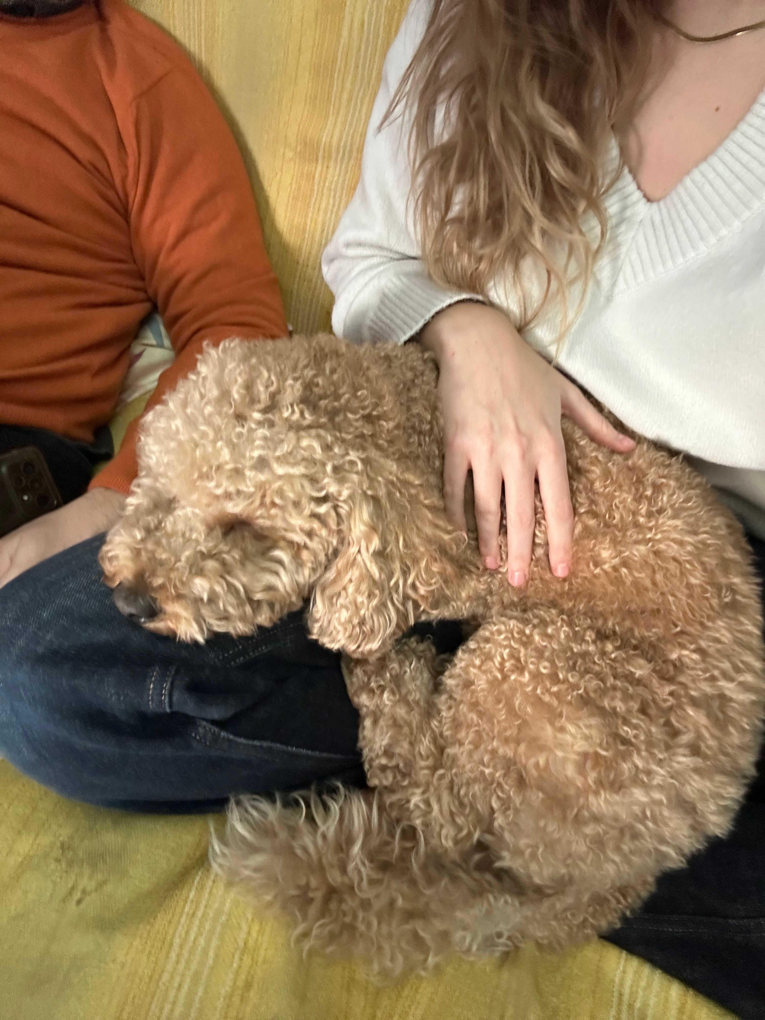 image-6