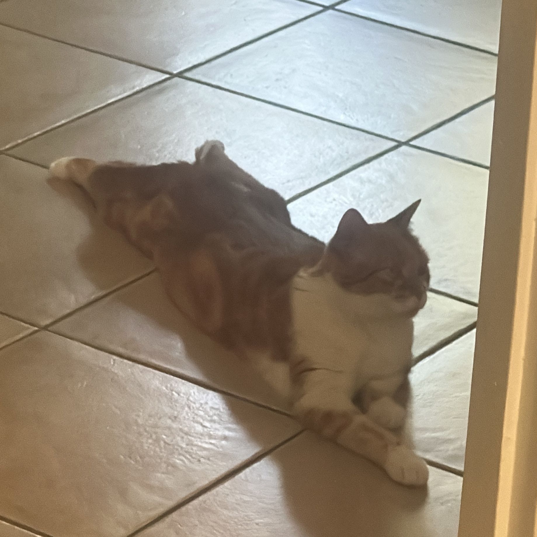Nina