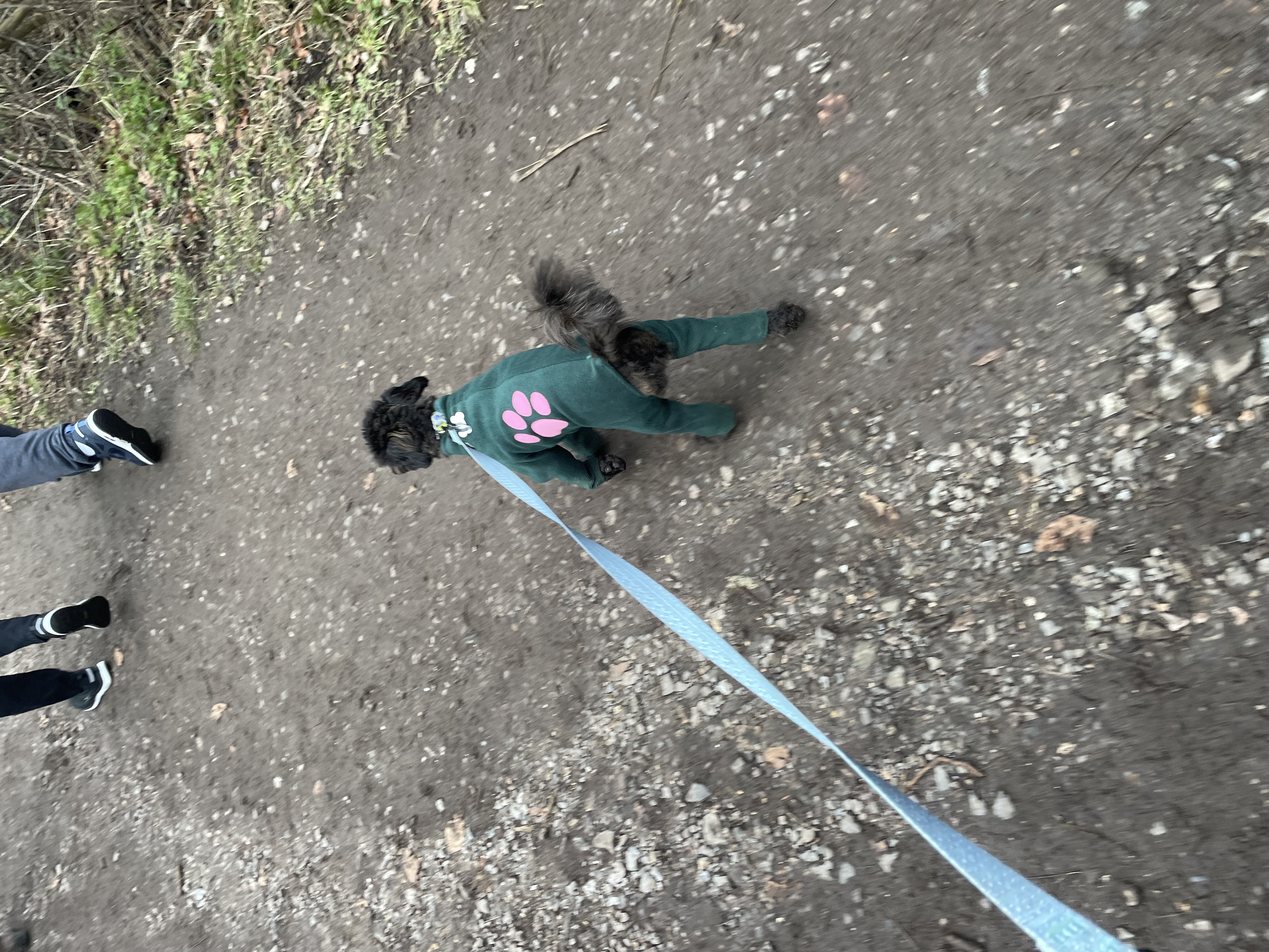 image-4