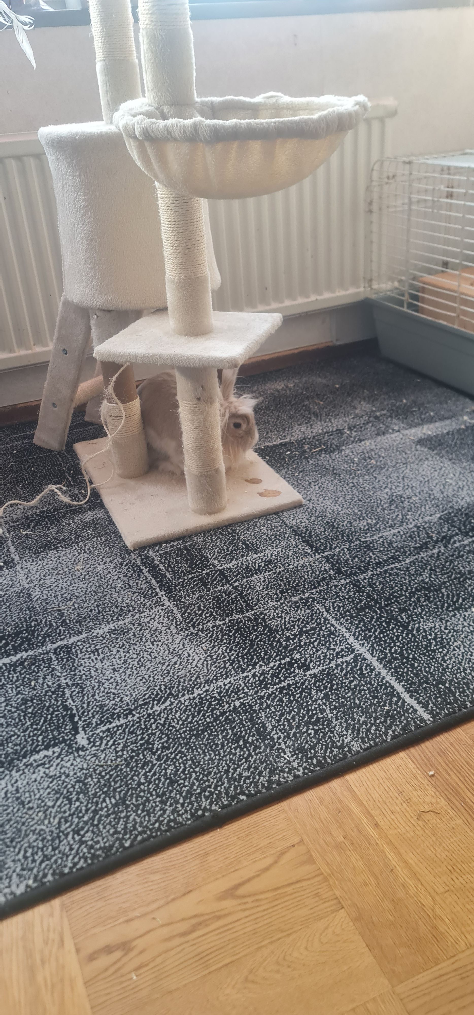 image-19