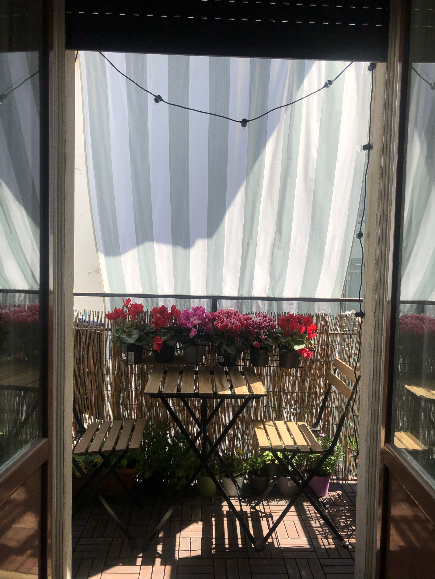 image-10