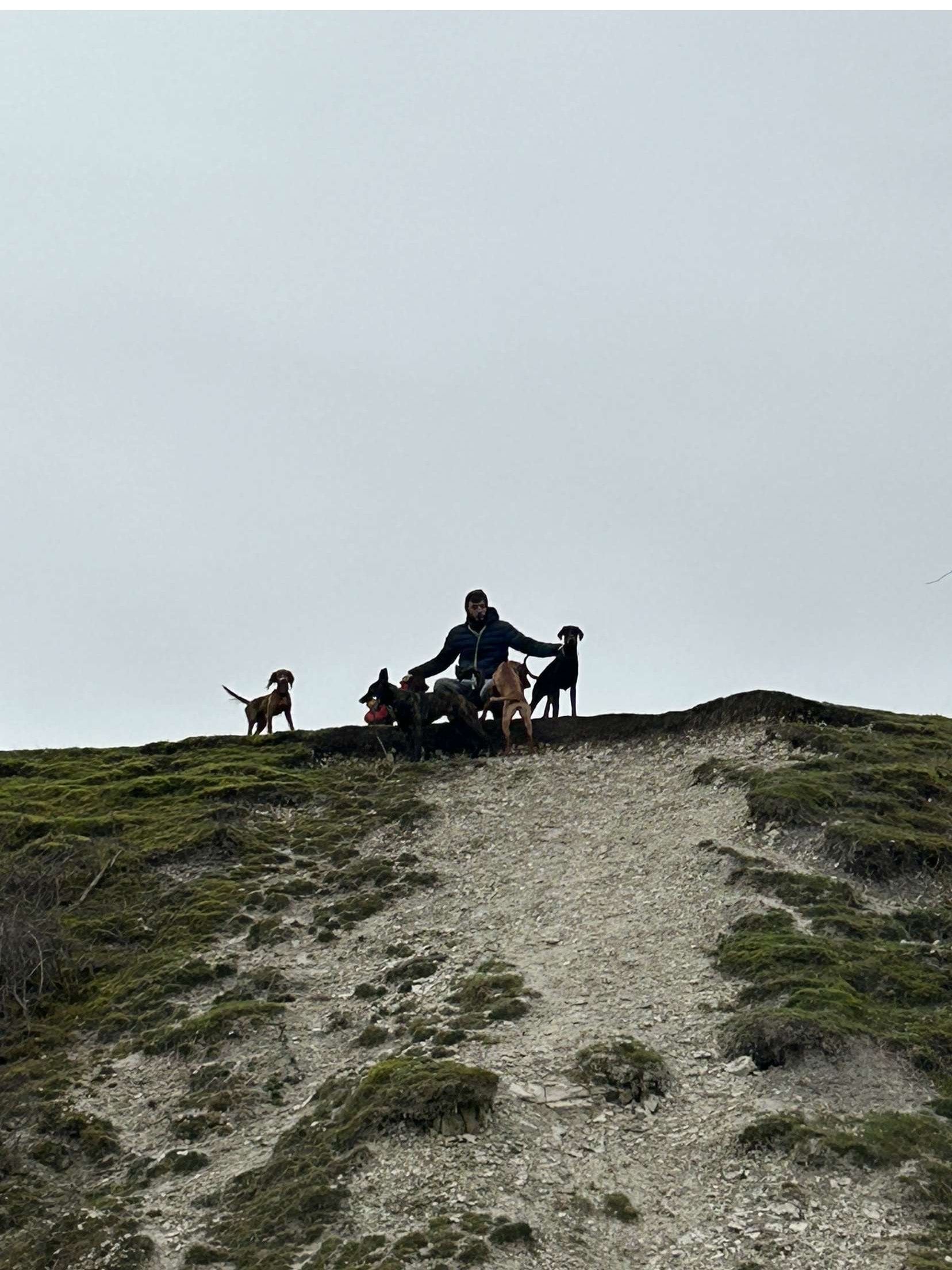 image-3