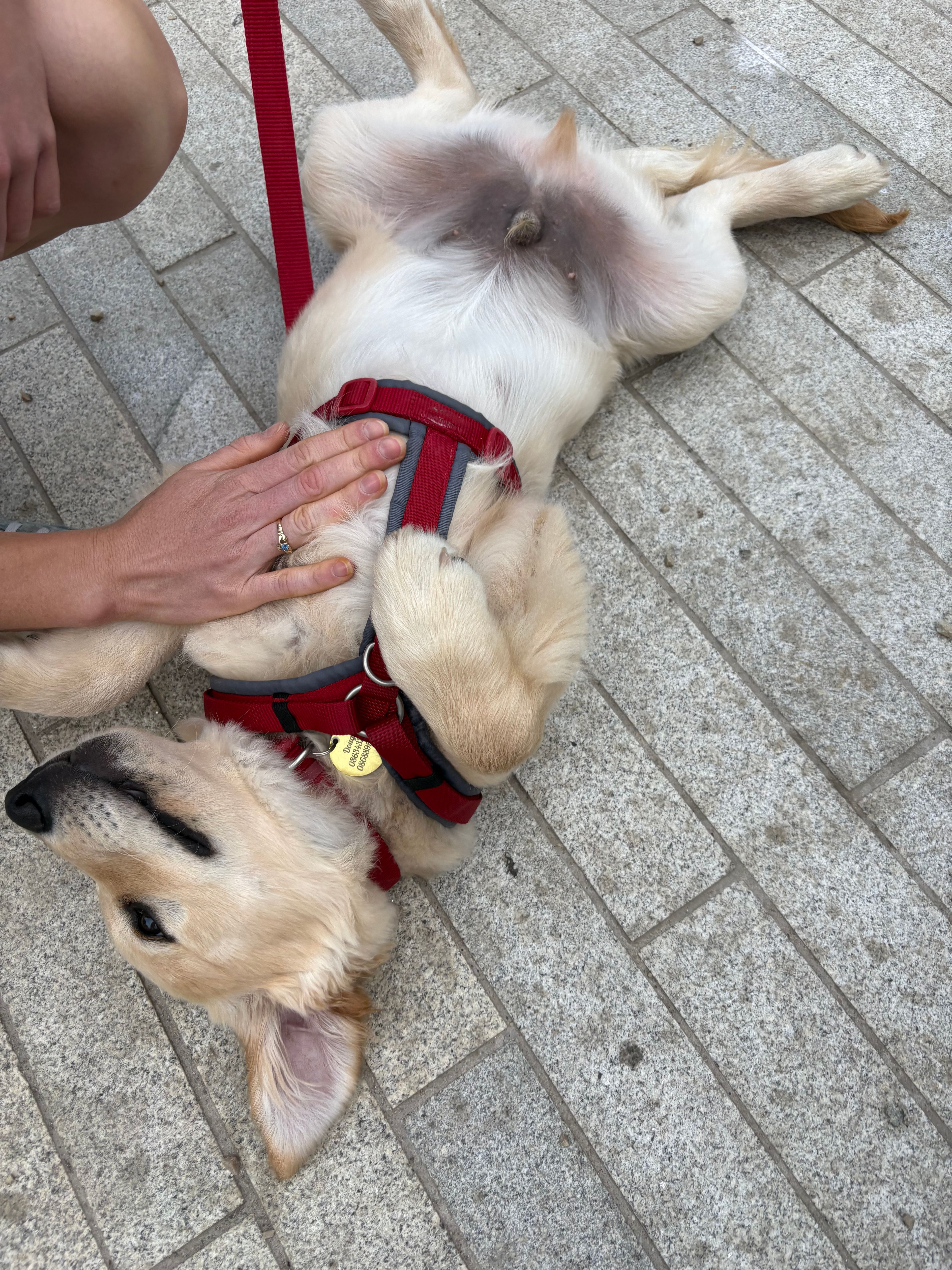 image-10