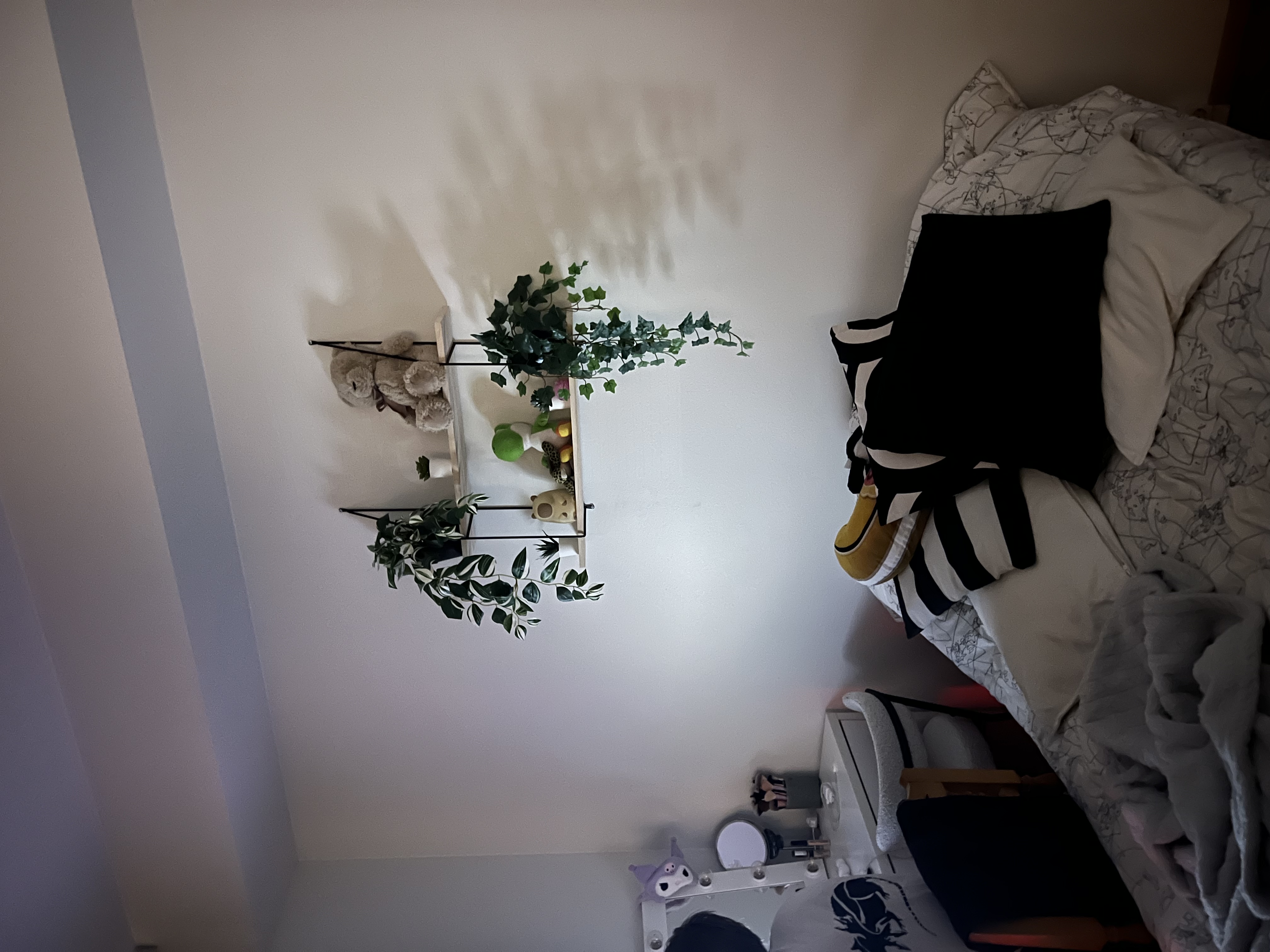 image-19