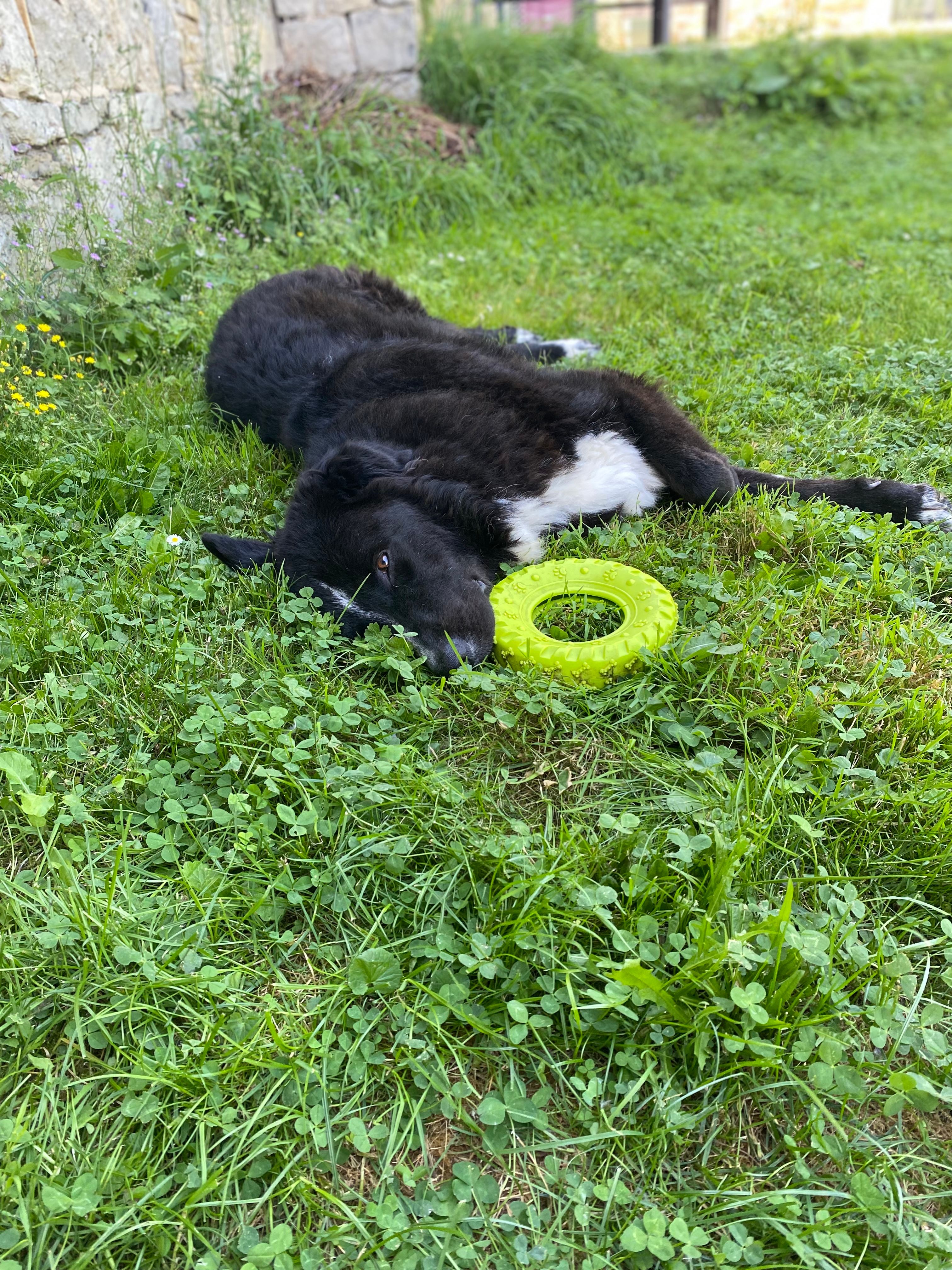 image-11