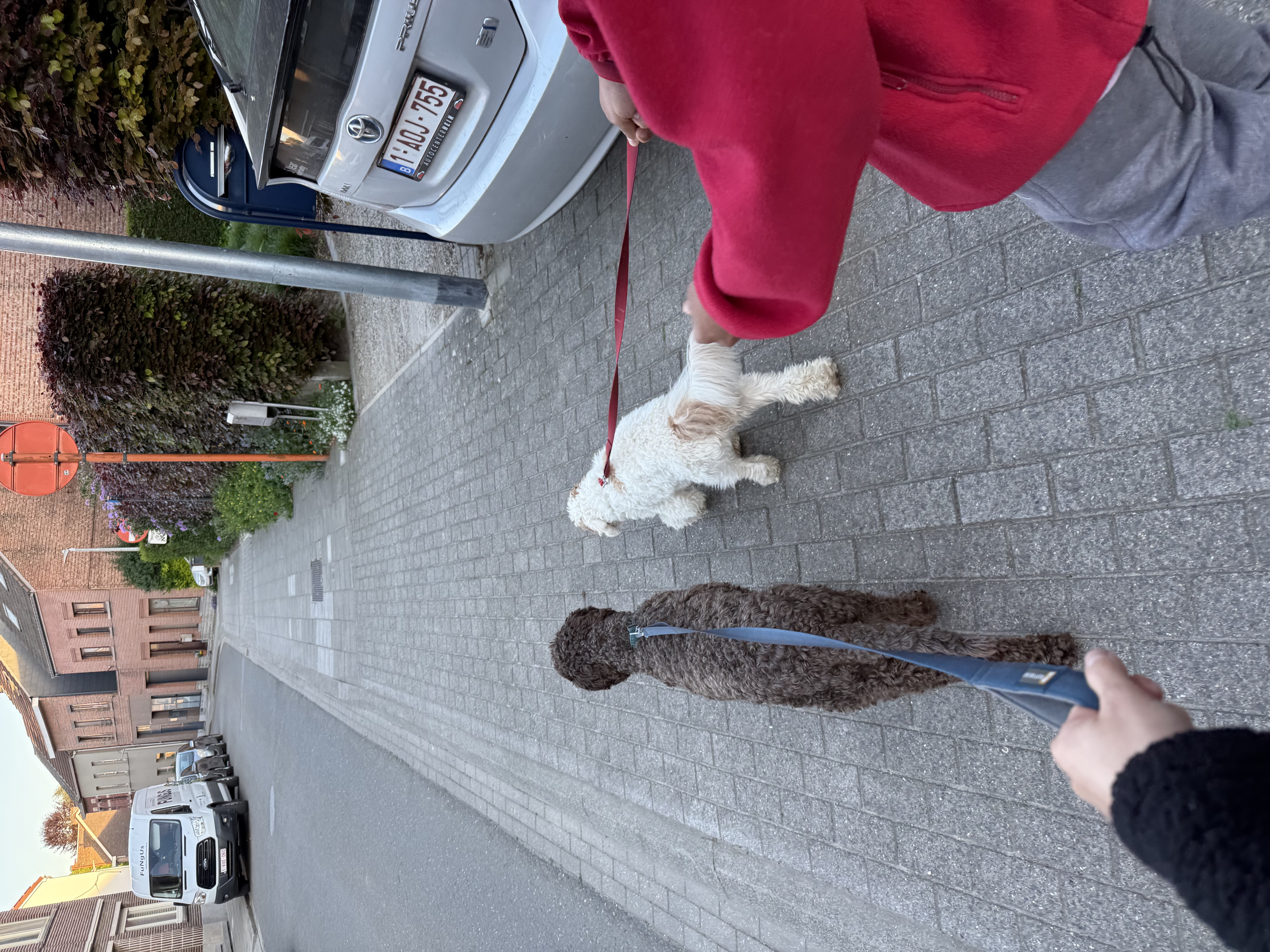 image-11