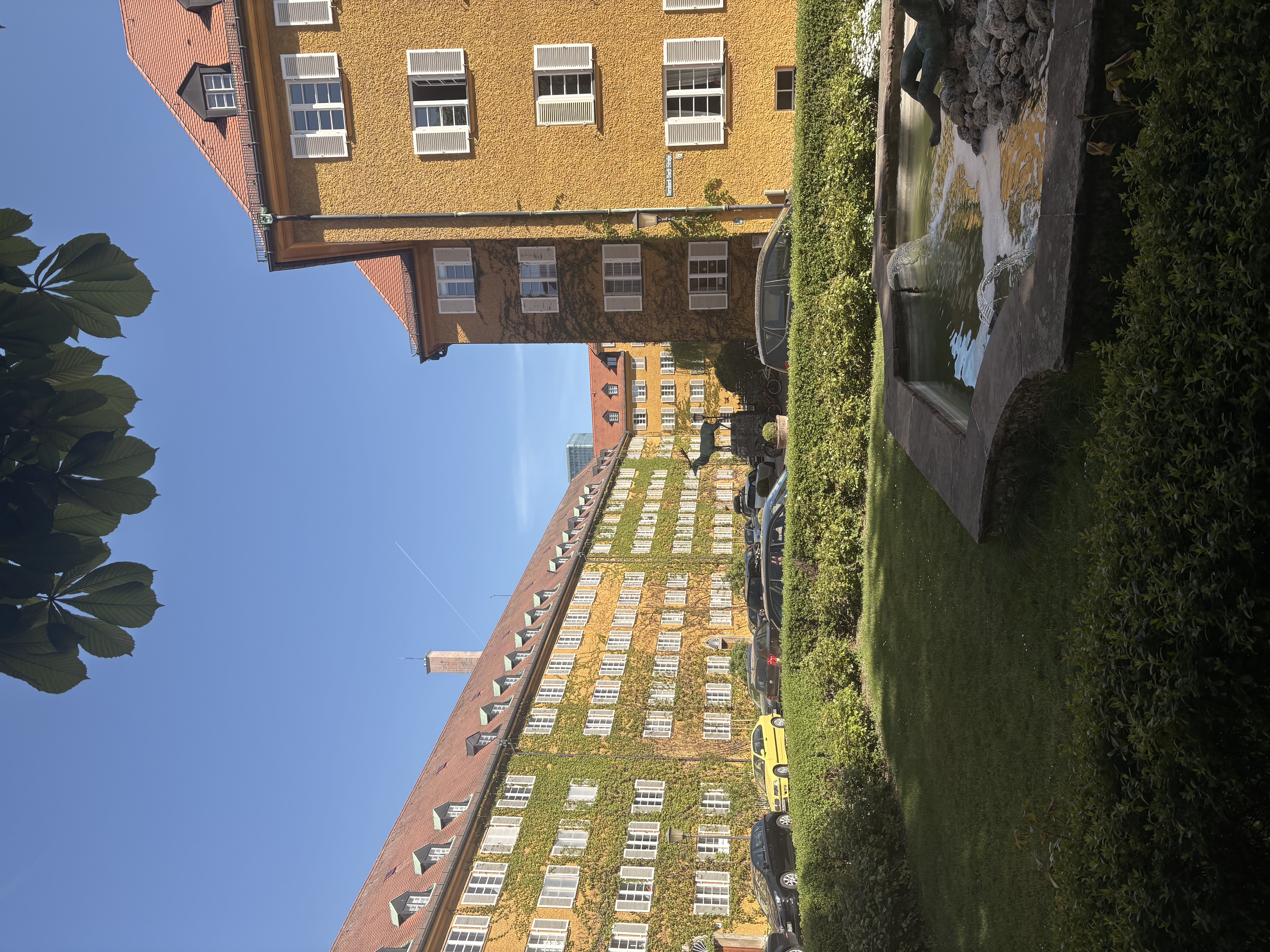 image-15