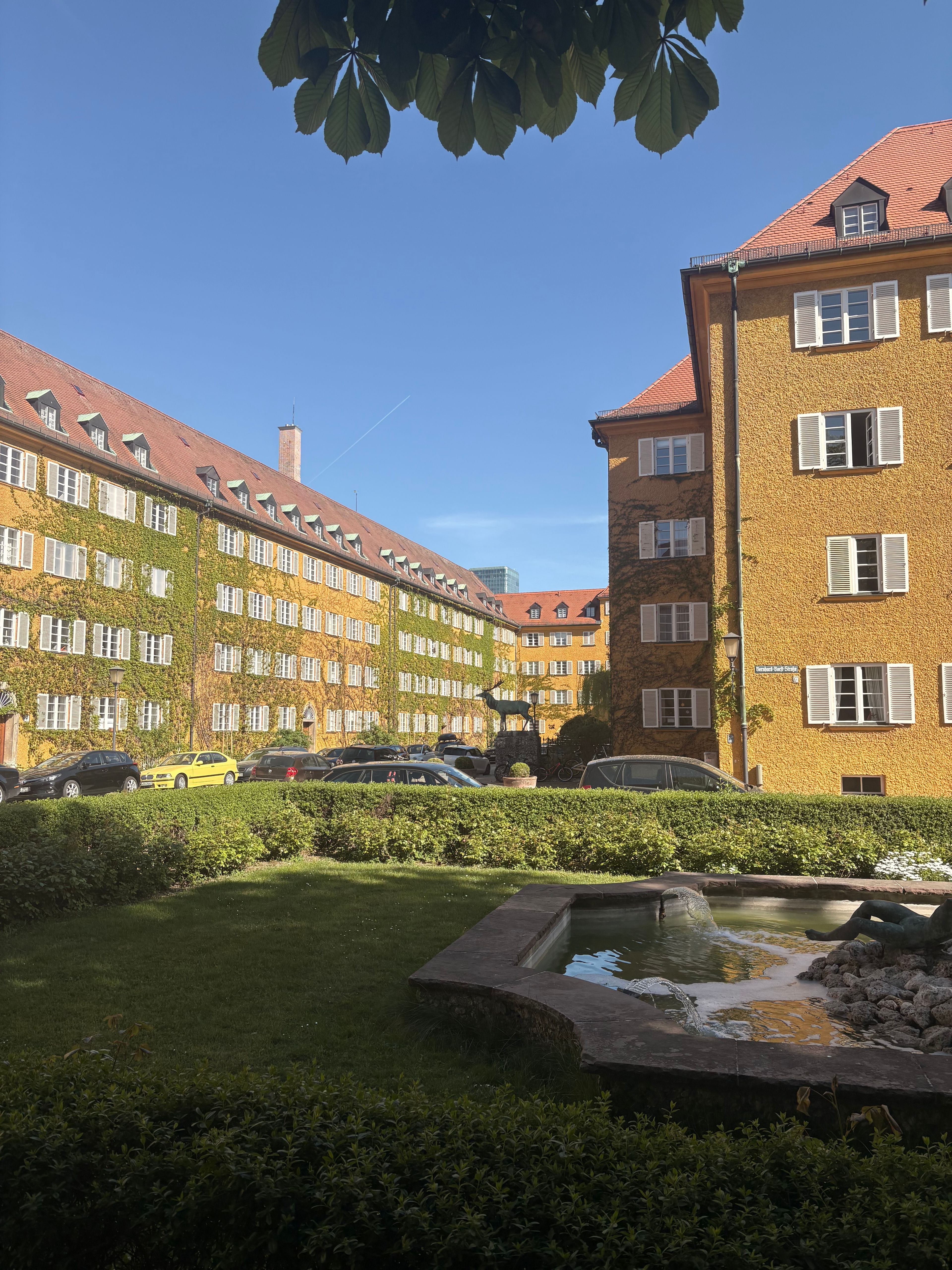 image-15