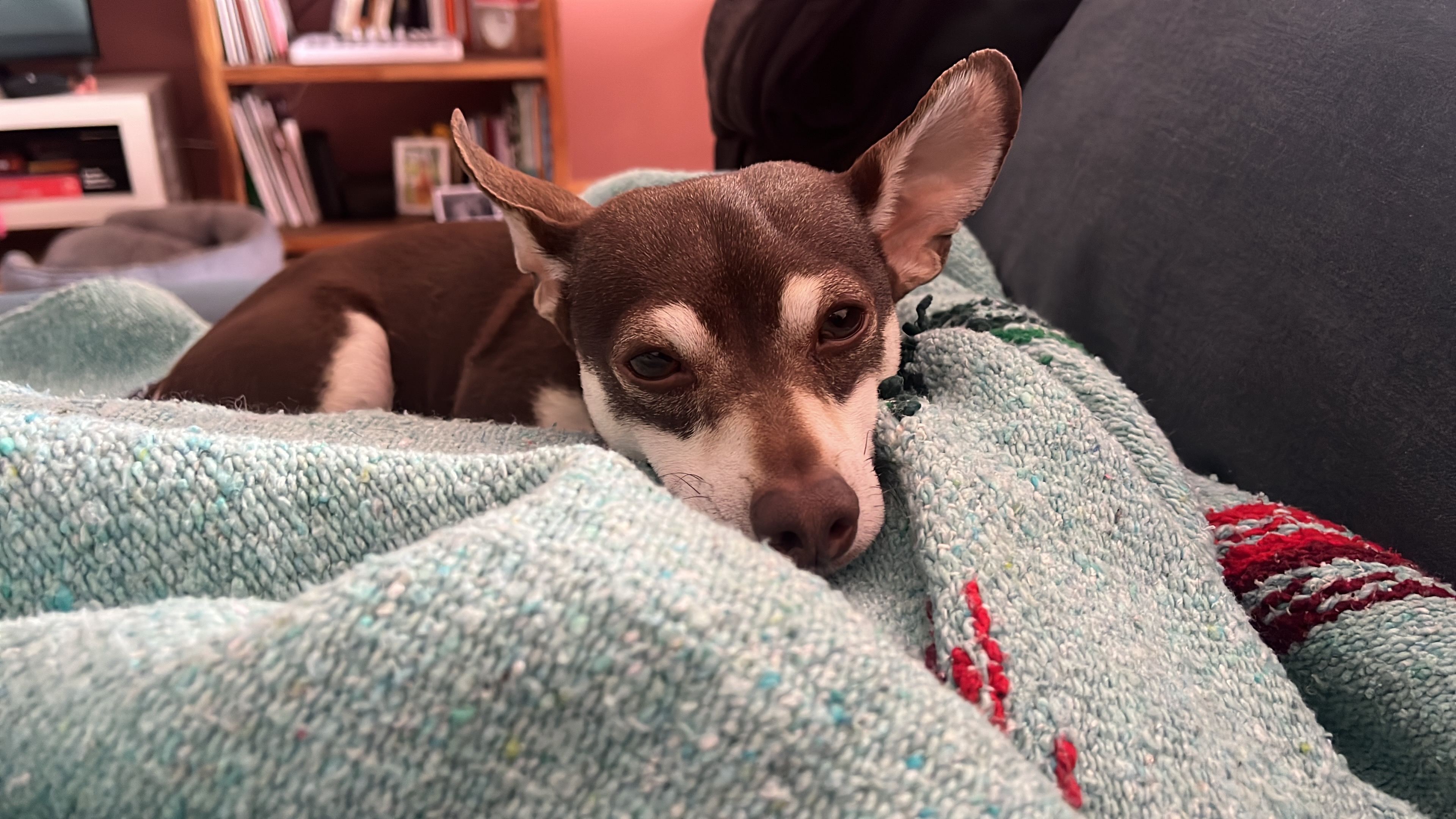 image-9