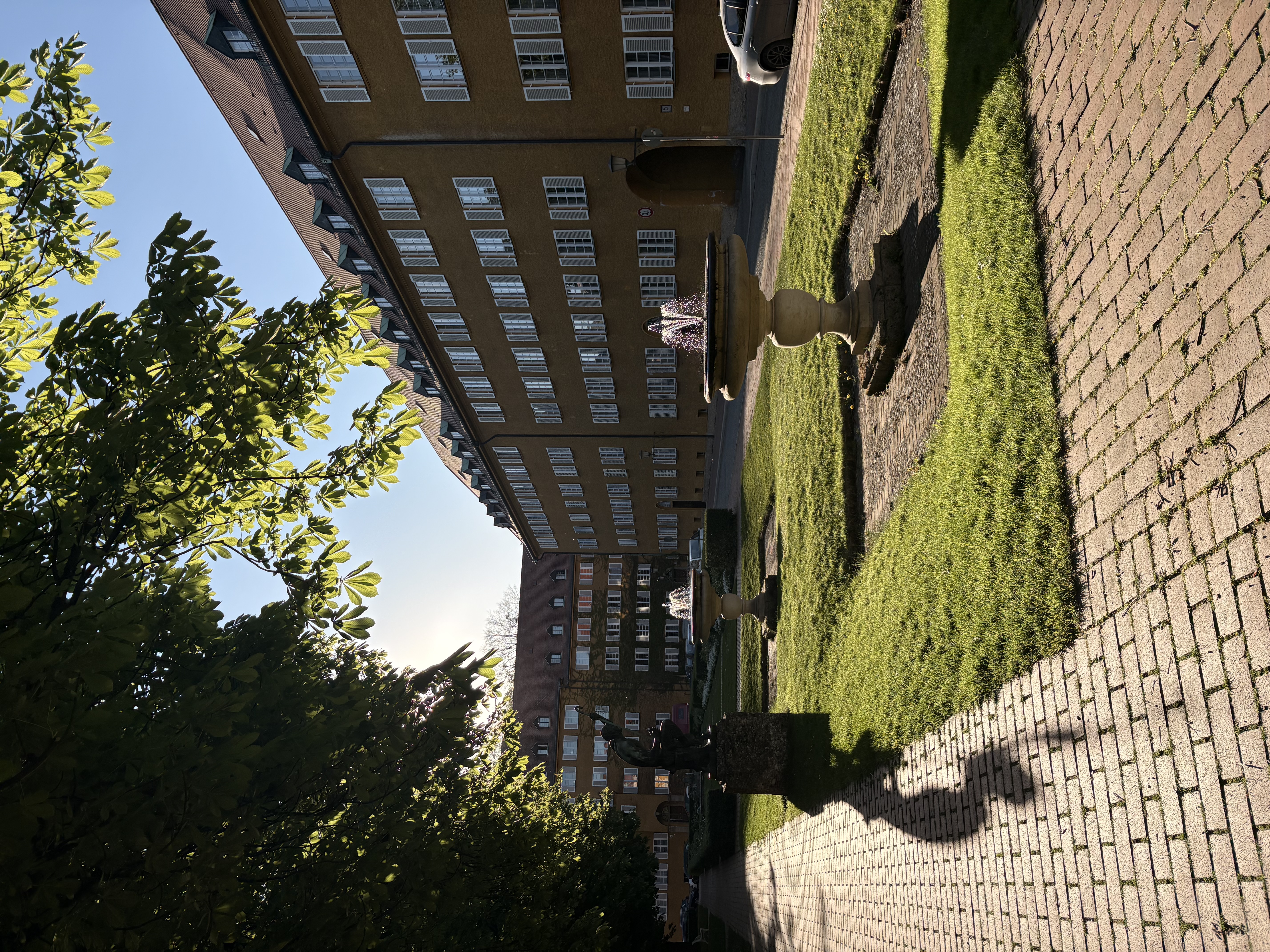 image-19