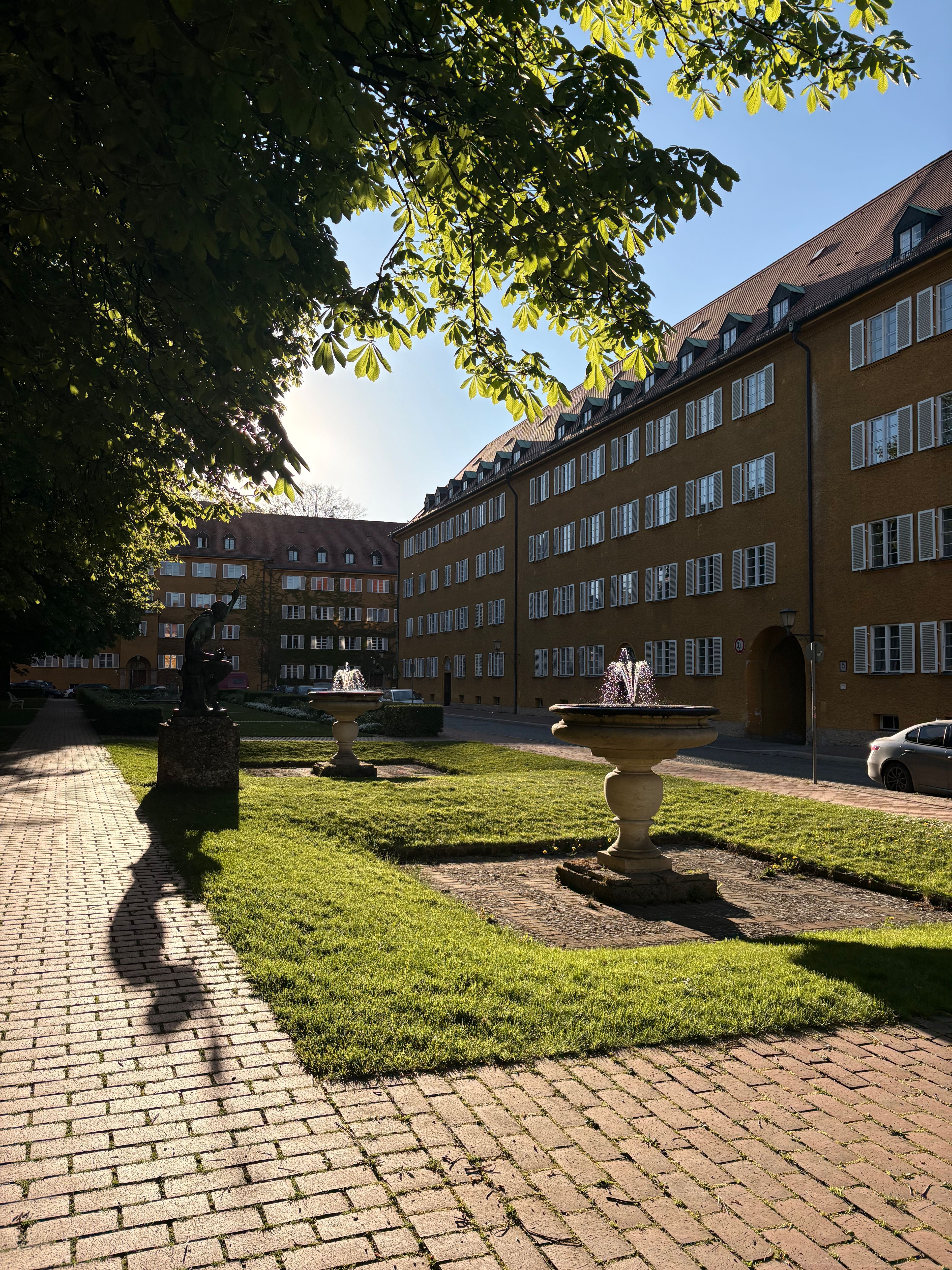 image-19